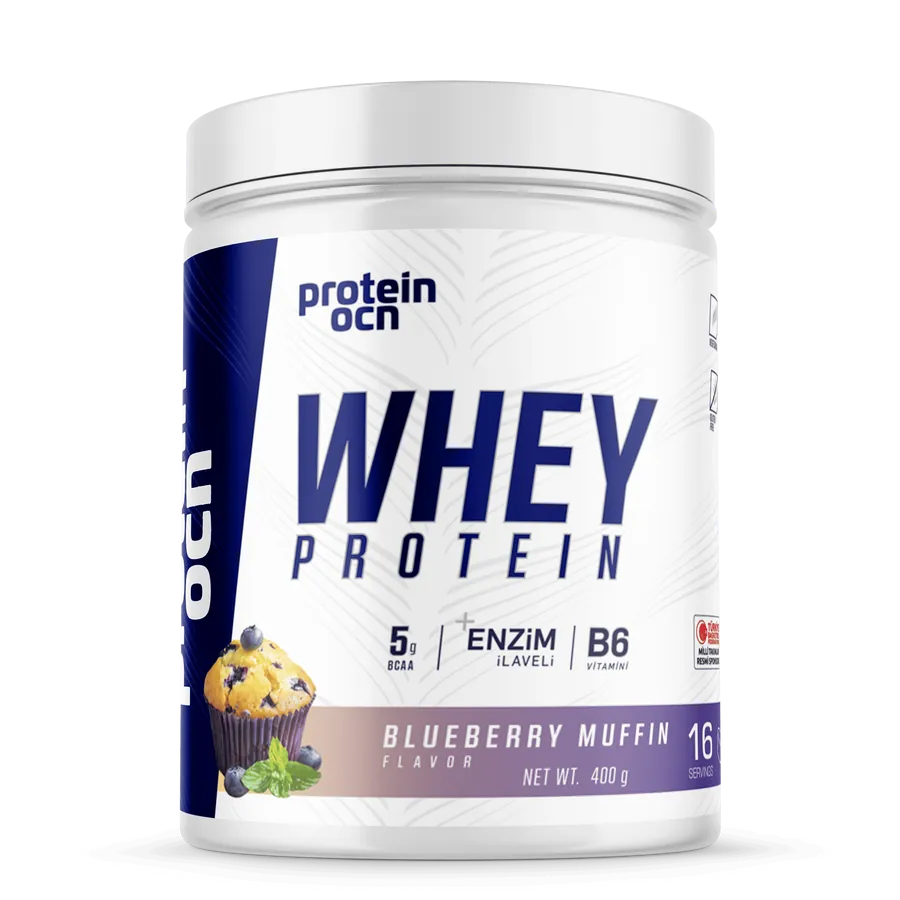 Protein Ocn Whey Protein 400 gr