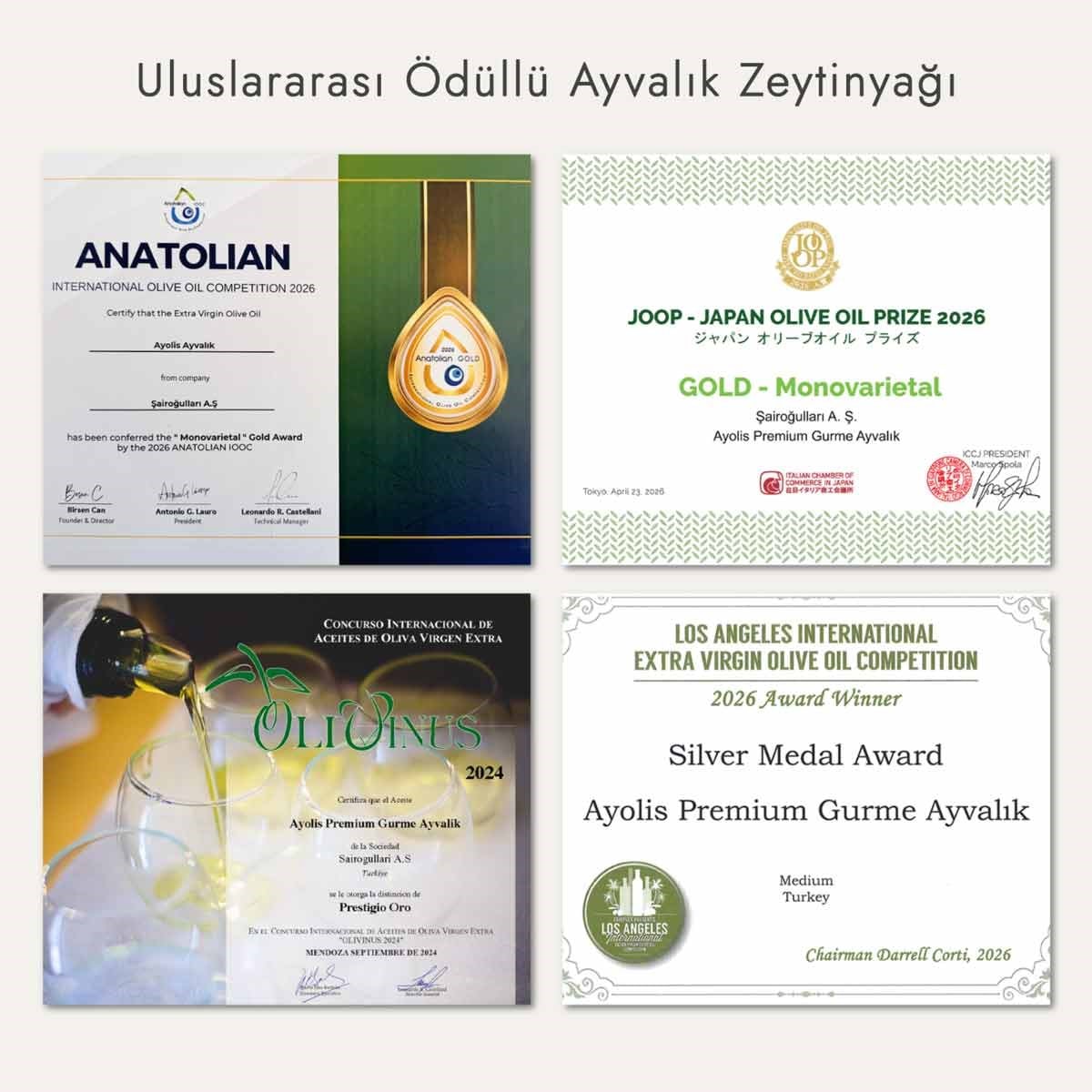 Ayolis Premium Gourmet EVOO 5 Lt Ayvalık Award Winning High Phenolic Early Harvest Cold Pressed