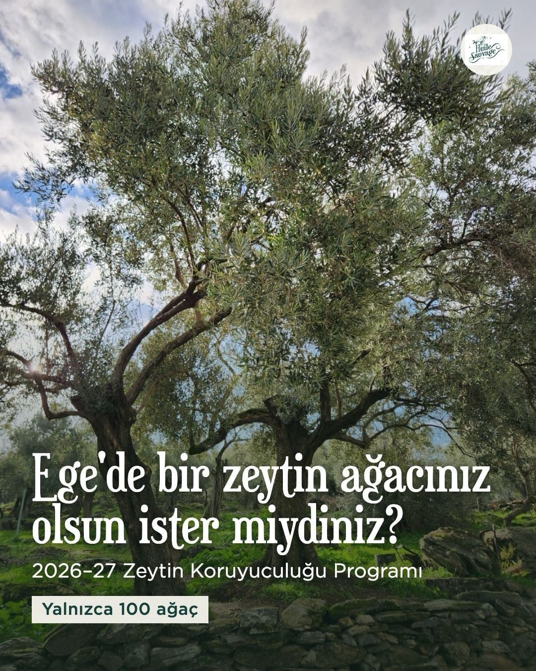 Koruyuculuk Programı