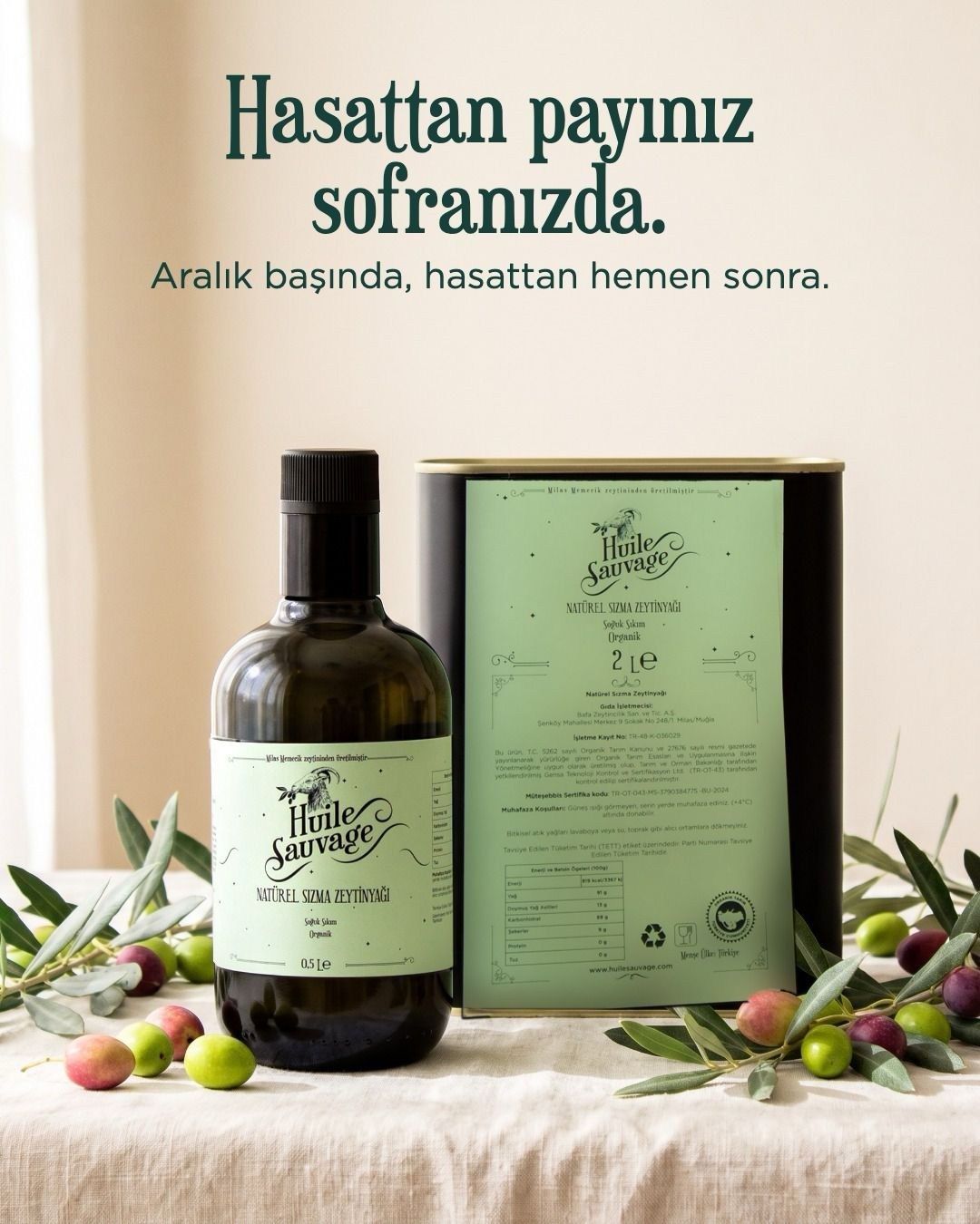 Koruyuculuk Programı