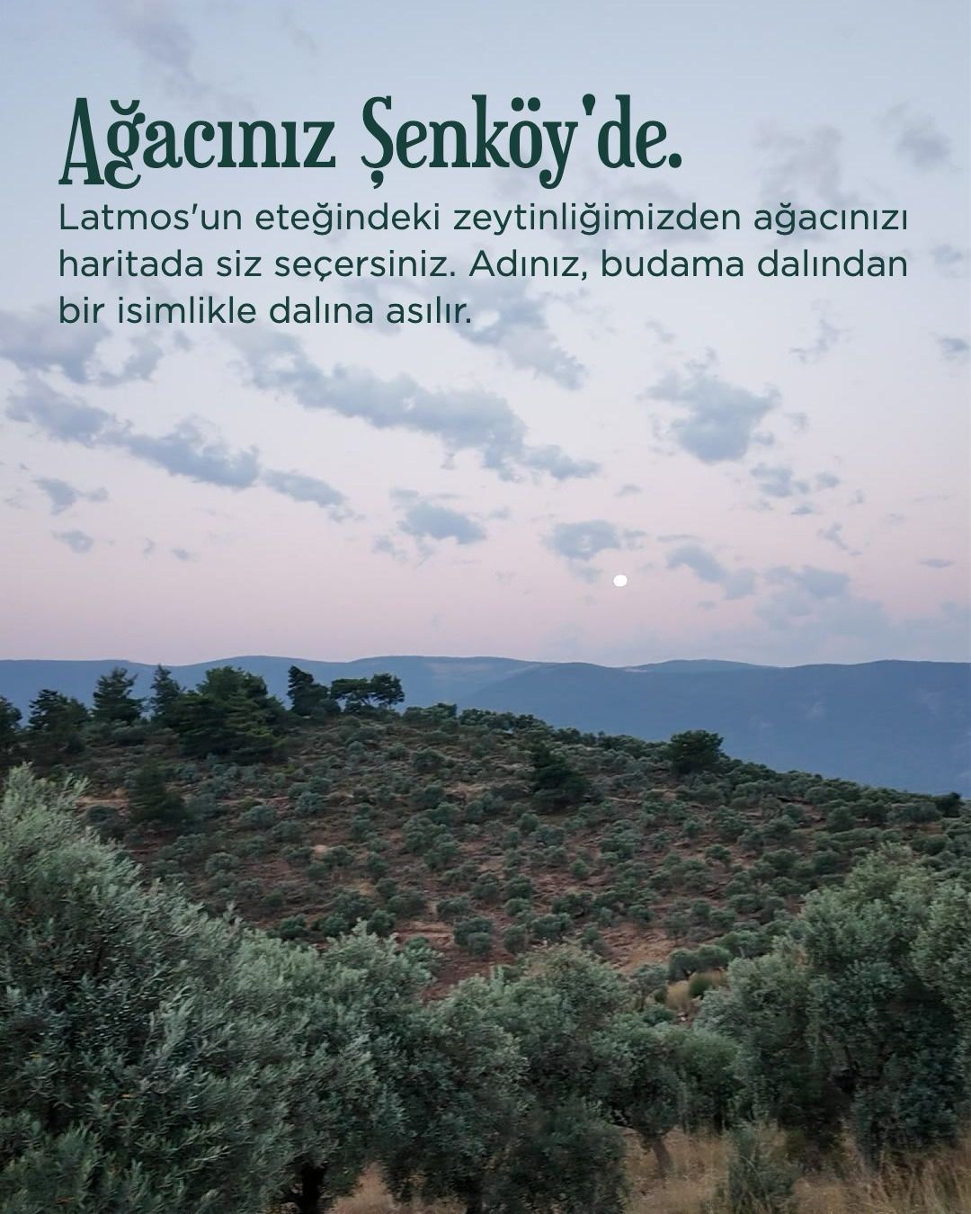 Koruyuculuk Programı