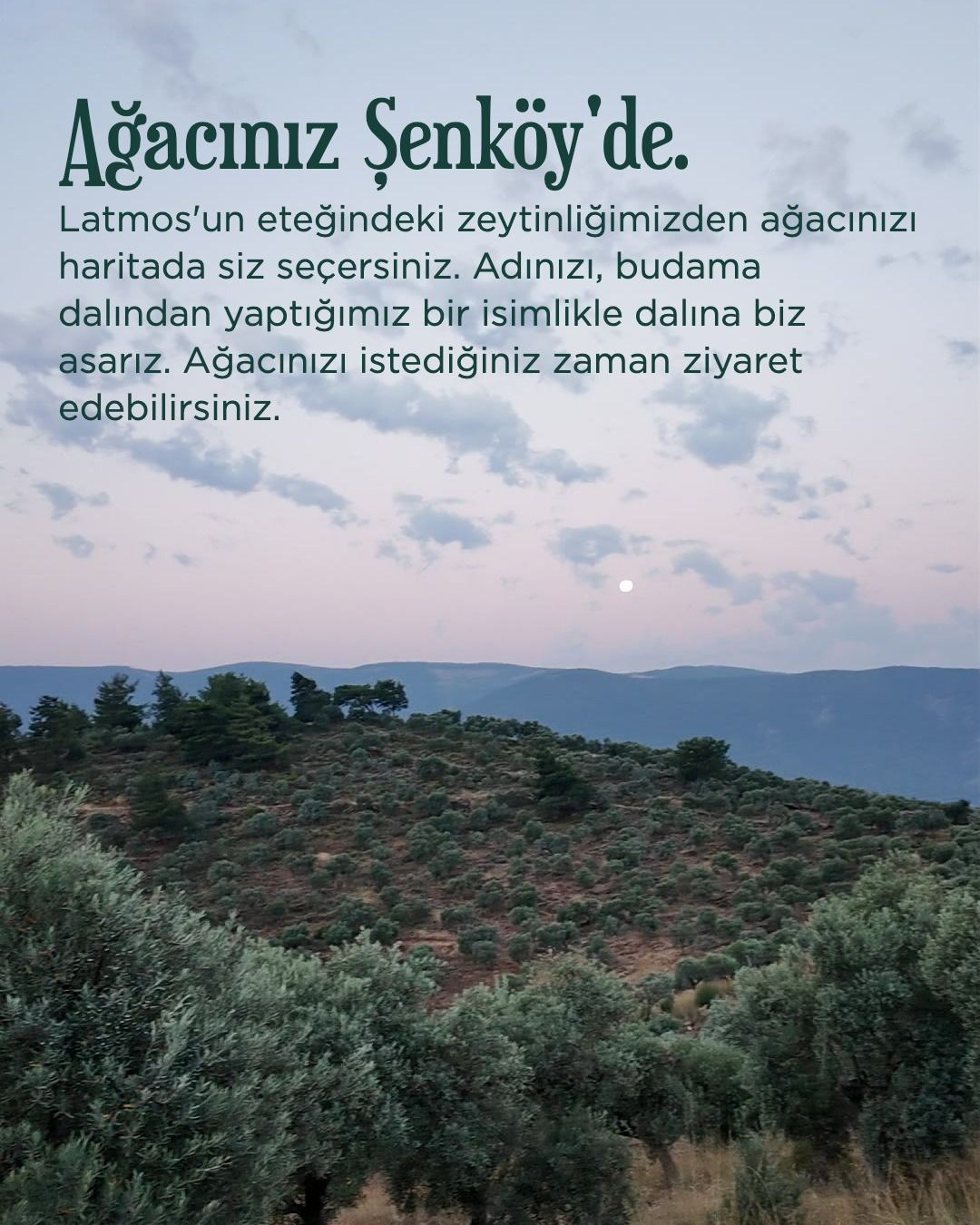 Koruyuculuk Programı