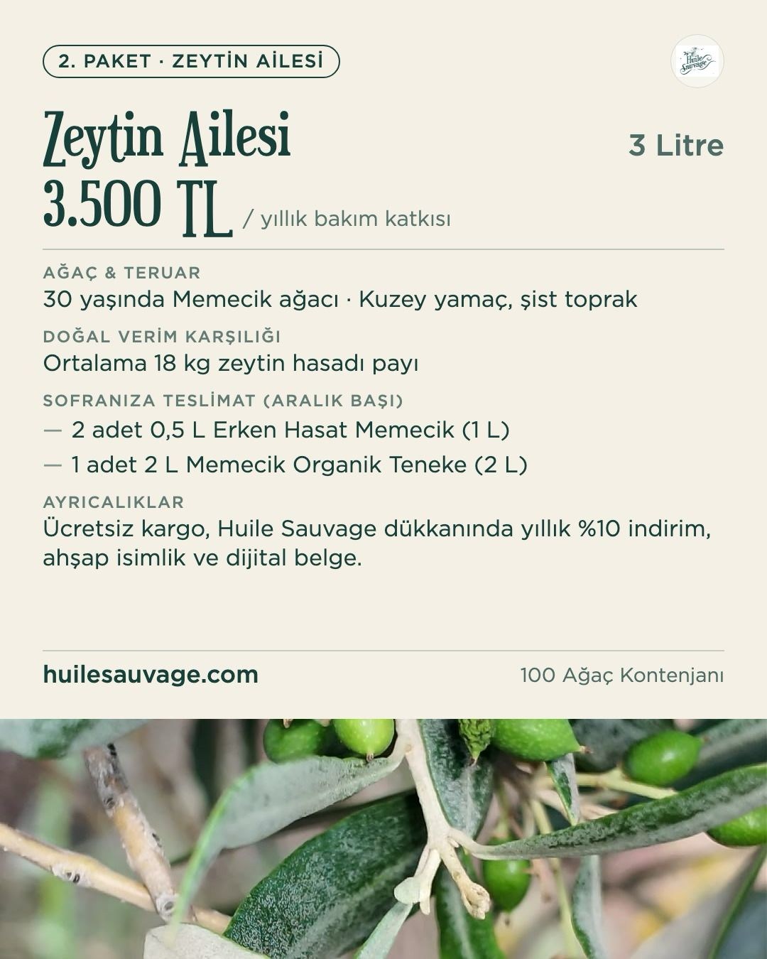 Koruyuculuk Programı - Zeytin Ailesi