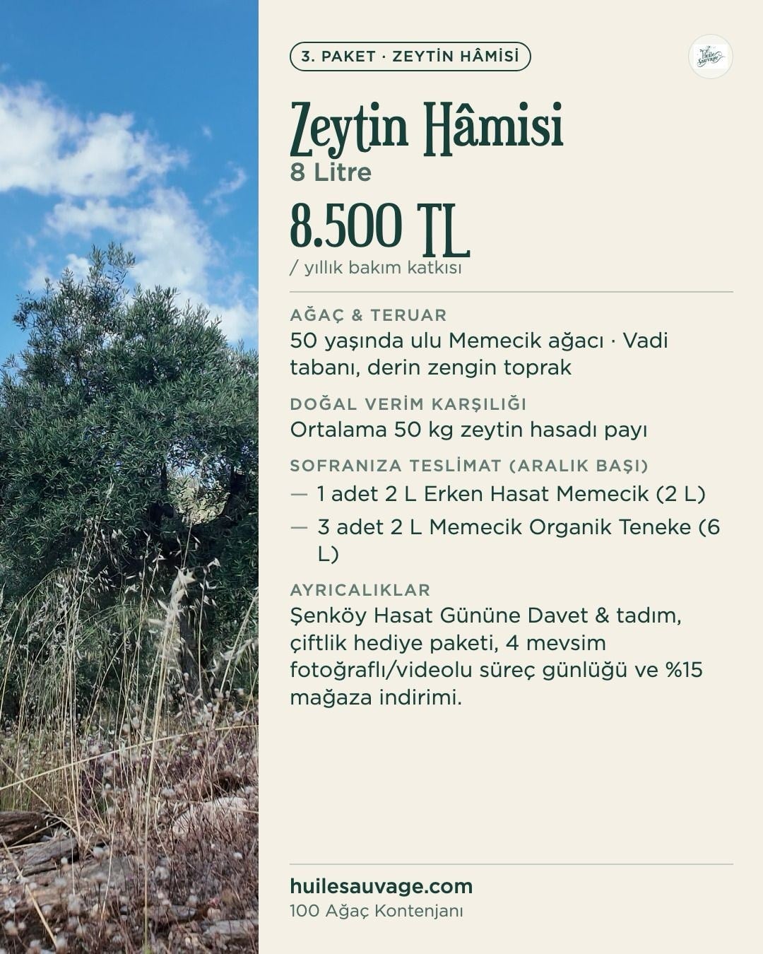 Koruyuculuk Programı - Zeytin Hâmisi