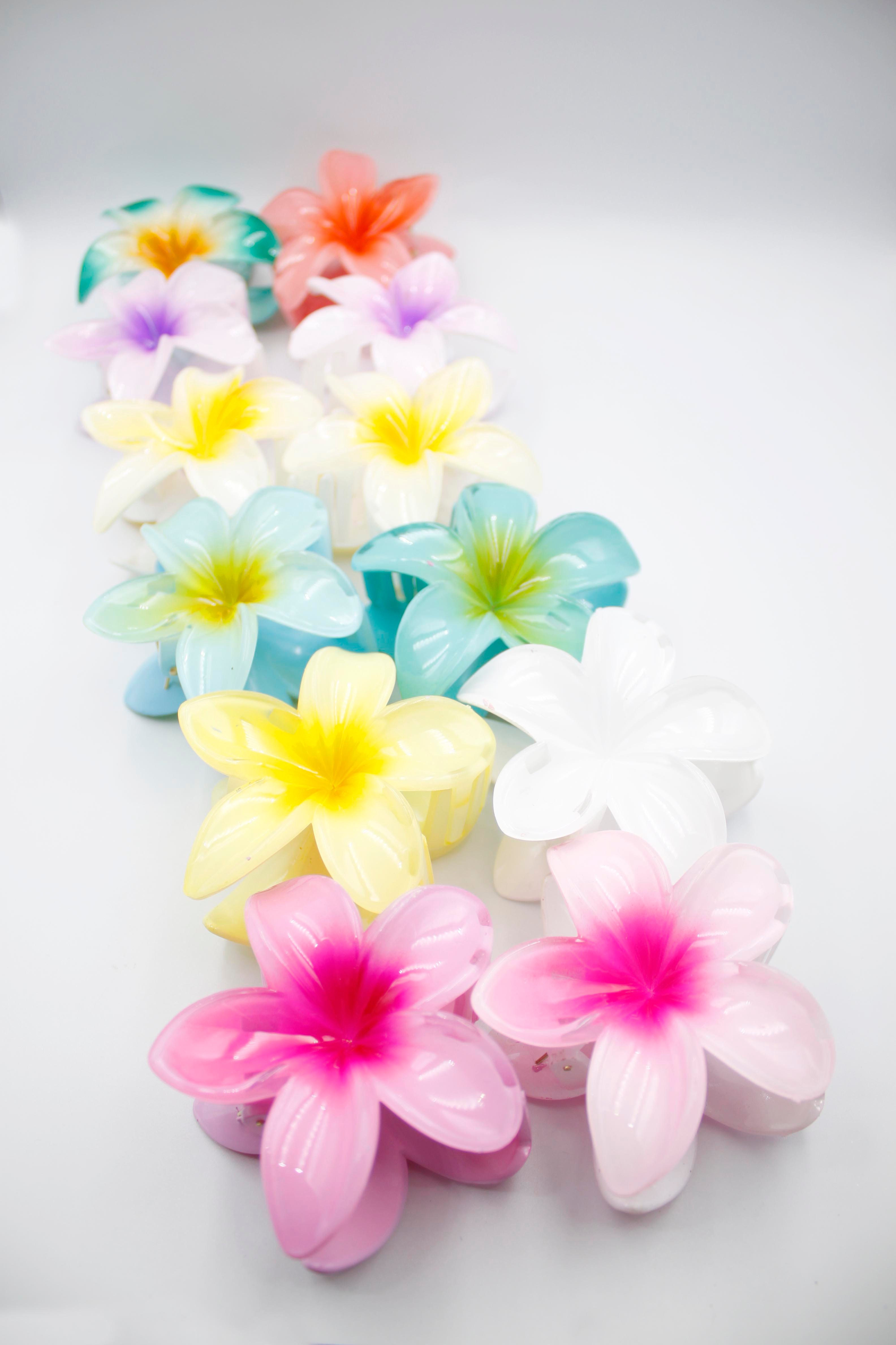 12'li Plumeria Çiçek Toka - ÇOK RENKLİ