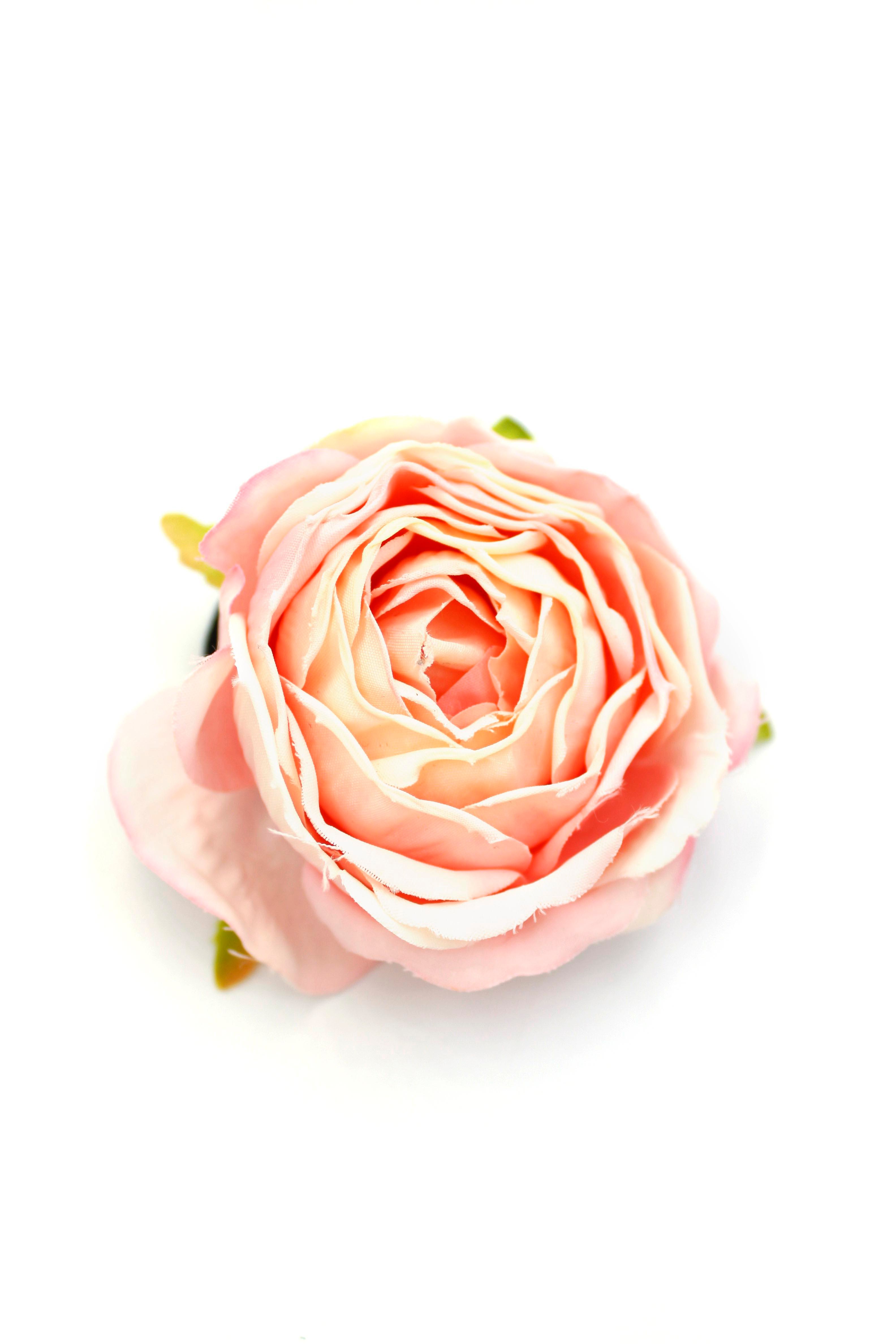 Gül Toka - Pembe