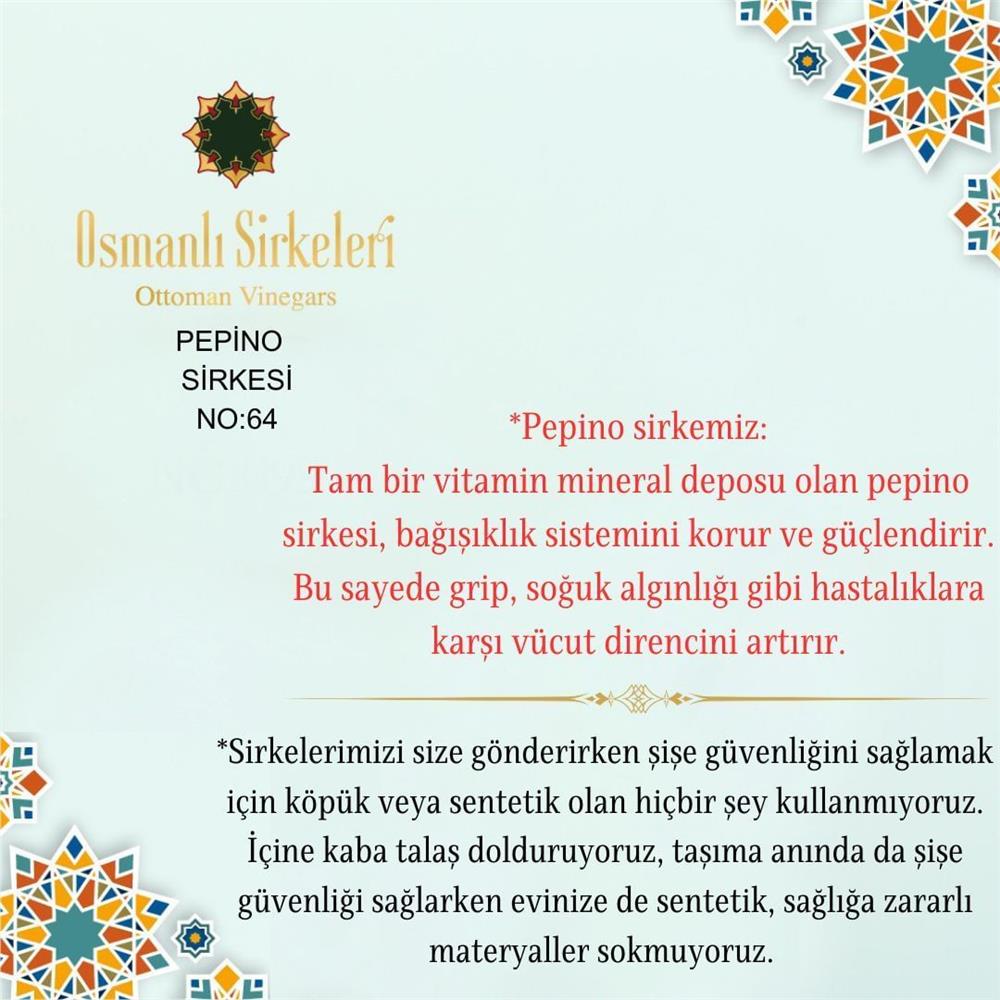 Egzotik - 02. Pepino Sirkesi - 500 ml