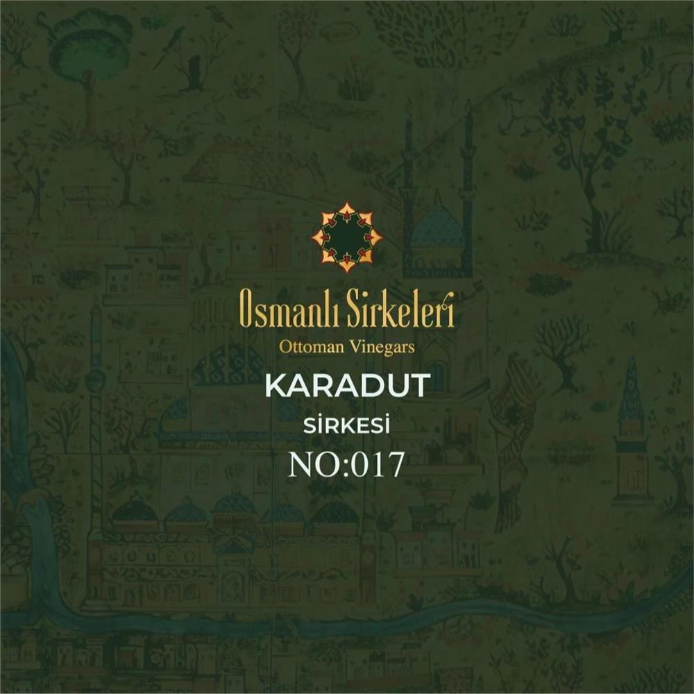 Geleneksel - 01. Karadut Sirkesi - 500 ml