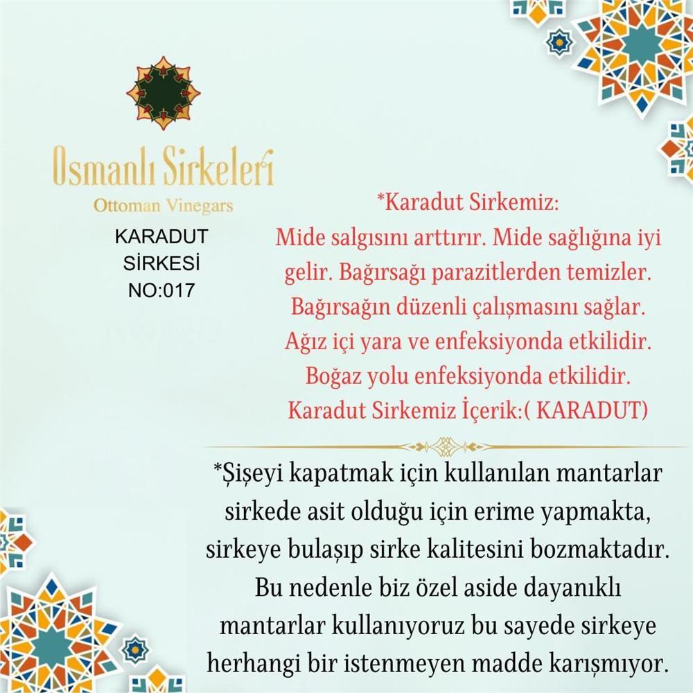 Geleneksel - 01. Karadut Sirkesi - 500 ml