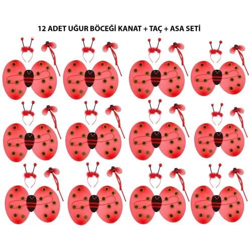 Uğur Böceği Kostüm Seti - Kanat, Taç, Asa 12 Adet