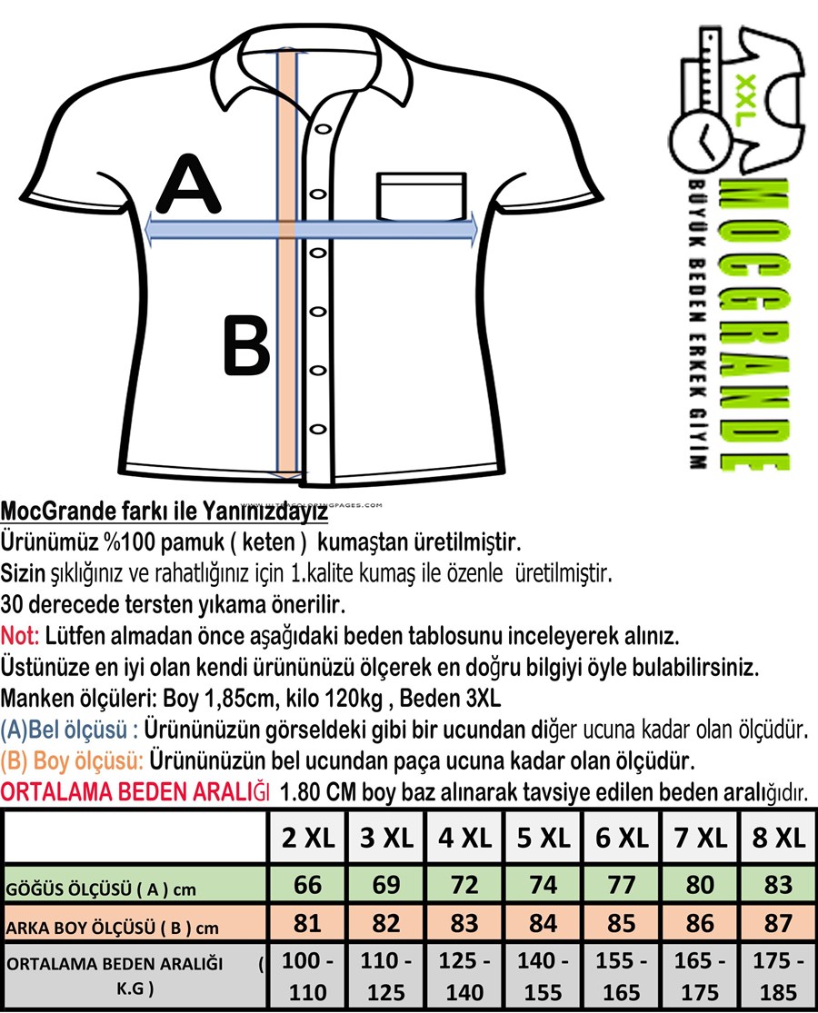 Büyük Beden Erkek Gömlek Hakim Yaka Kısa Kol Beyaz 22309-1