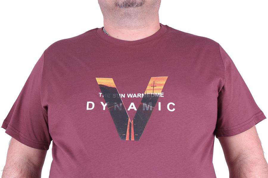 Mocgrande Büyük Beden Erkek Baskılı Tişört Dynamic 23133 Eflatun