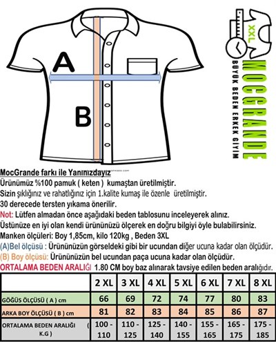 Büyük Beden Erkek Gömlek Keten Kısakol Nakışlı Sıyah 22300-4