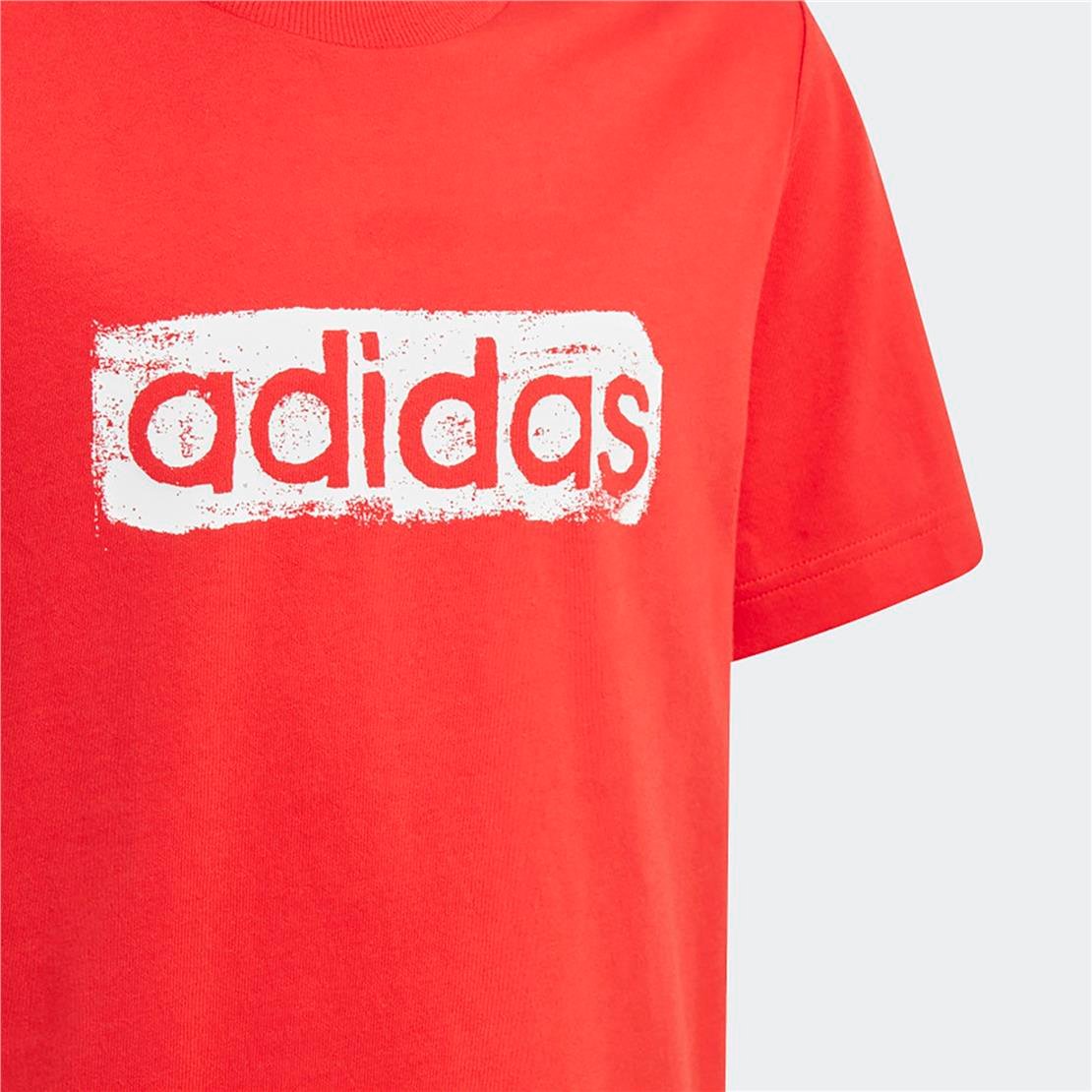 ADİDAS B G T2