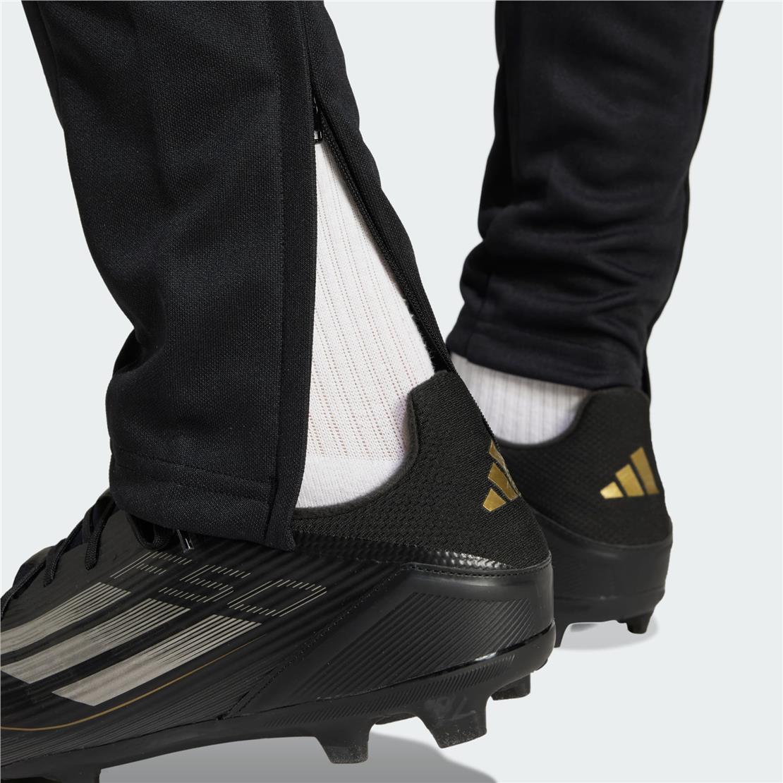 ADİDAS SQ25 TR PNT BOŞ Modeli ERKEK