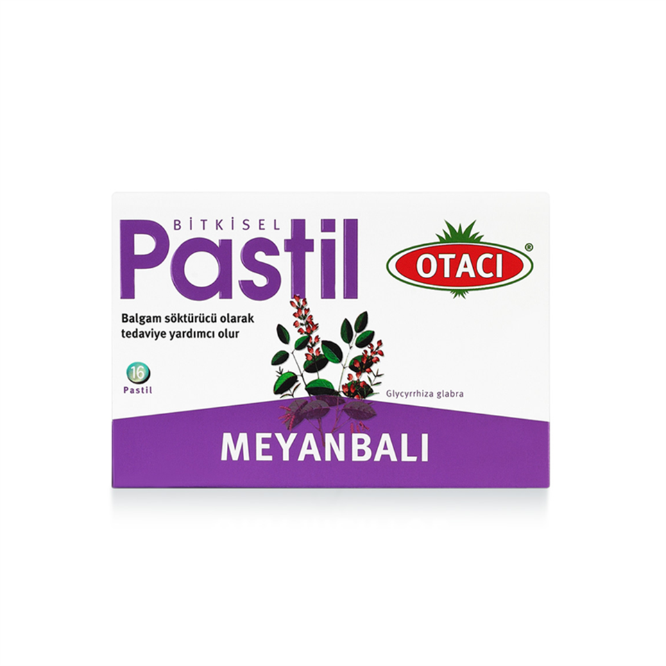 Otacı Pastil Meyanbalı 16 Pastil - Pastil - Otacı