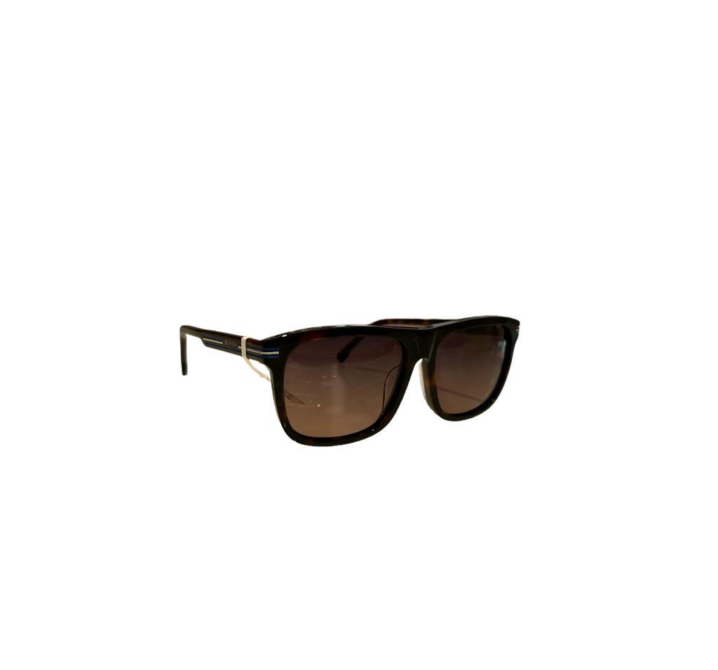 X Black Mod.8343 C.03 Kahverengi Kırçıllı Erkek Güneş Gözlüğü