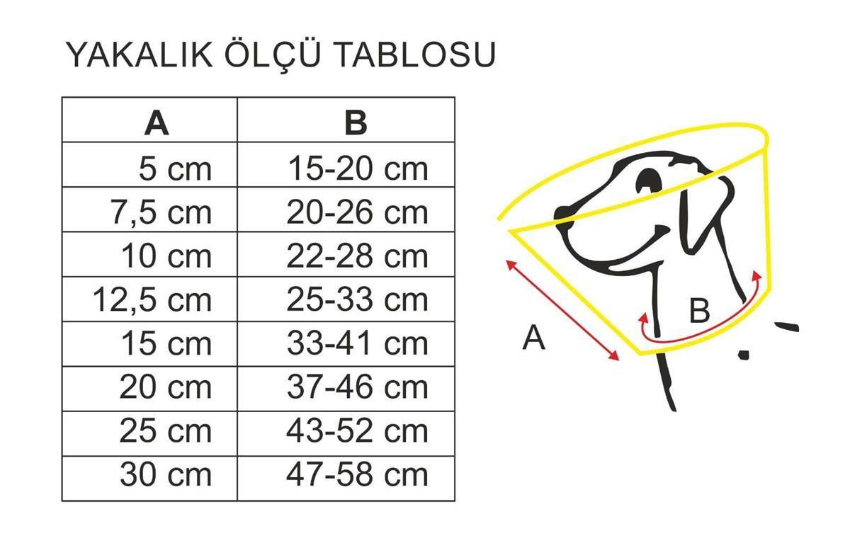 TALES - YAKALIK ŞEFFAF - 5 CM