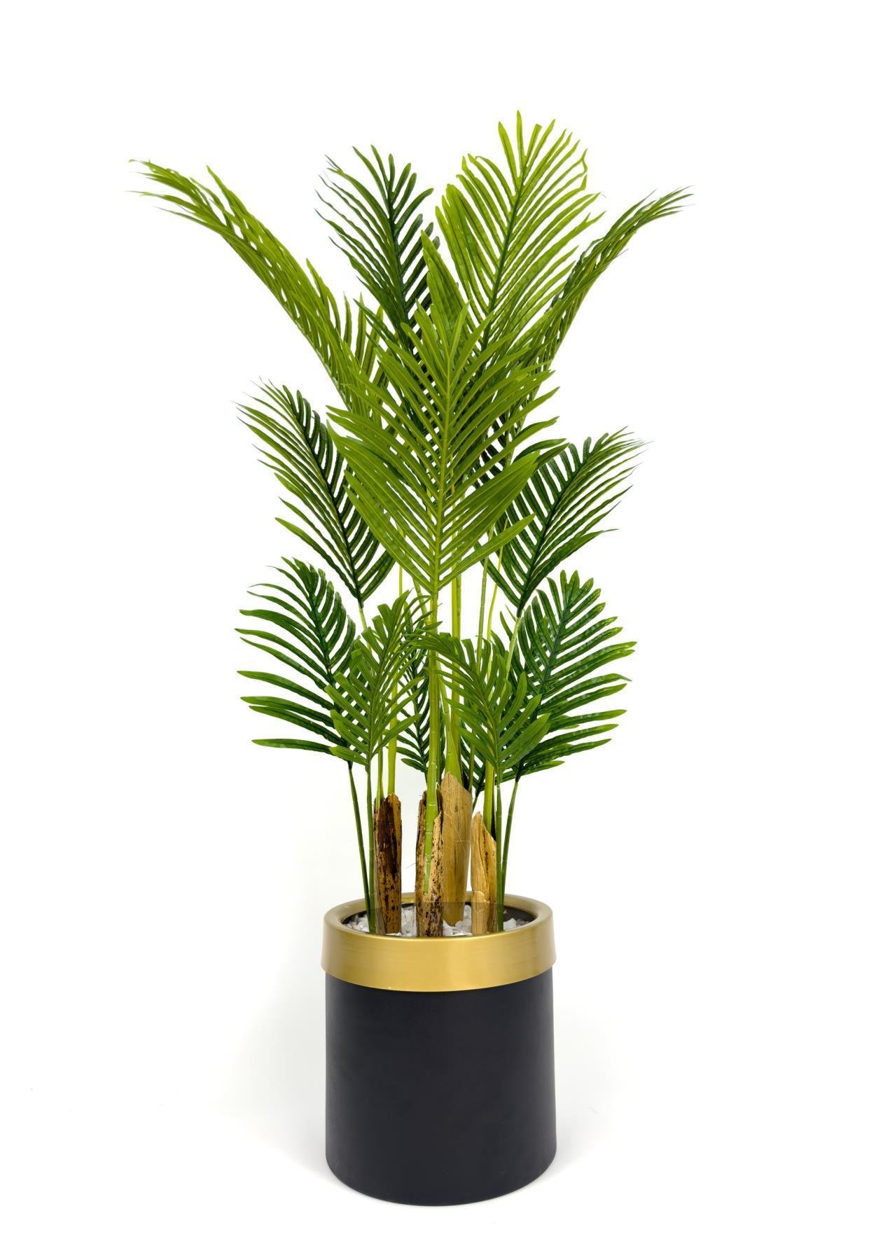 Areka palmiyesi 160cm metal saksıda black gold