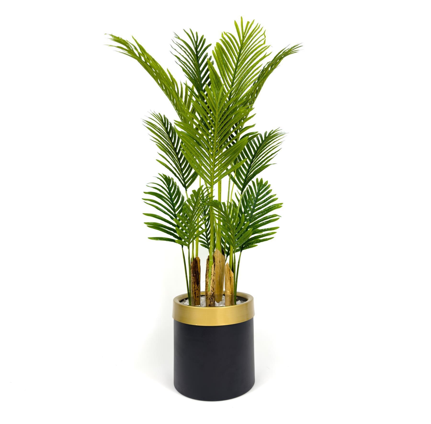 Areka palmiyesi 160cm metal saksıda black gold