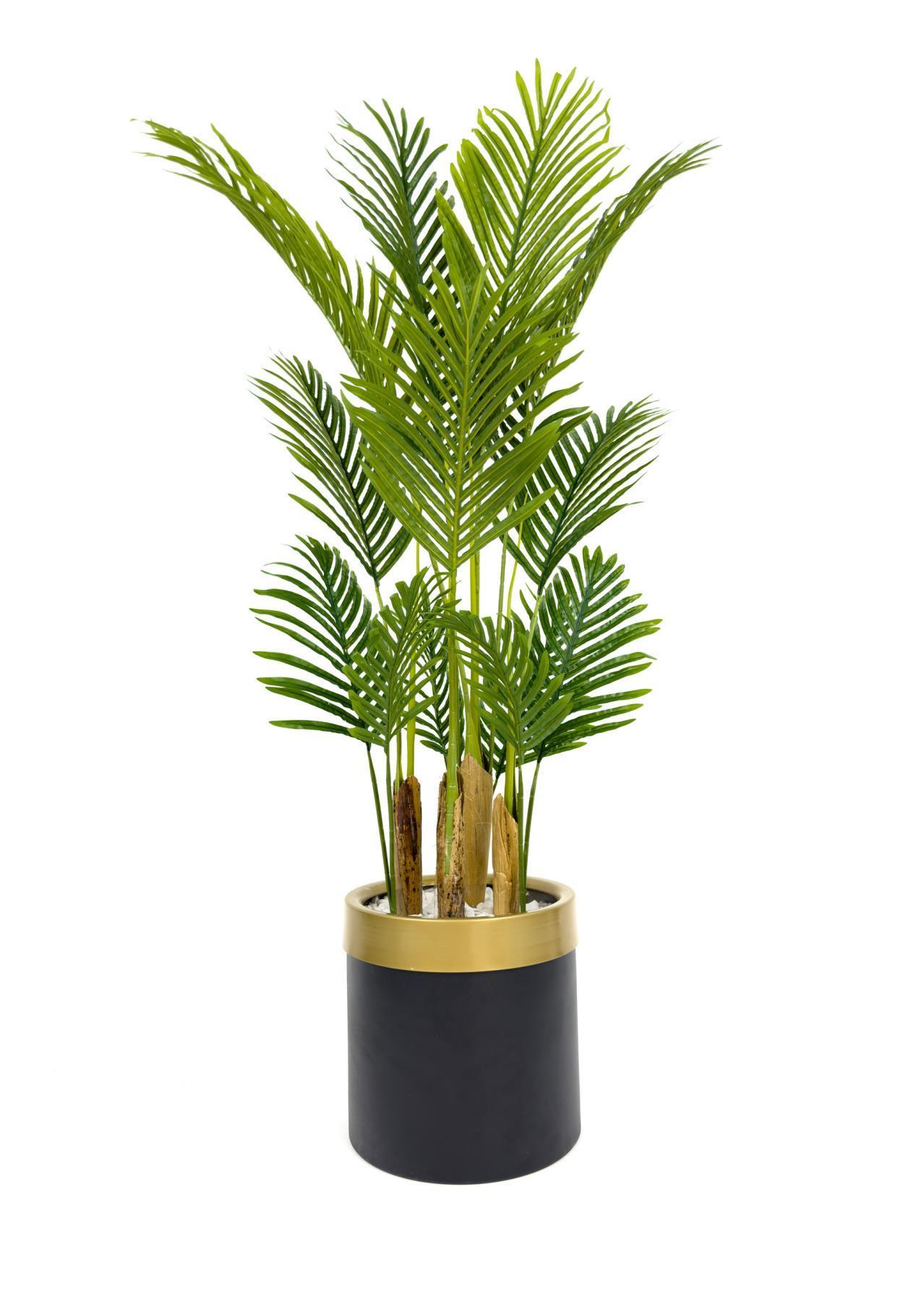 Areka palmiyesi 160cm metal saksıda black gold