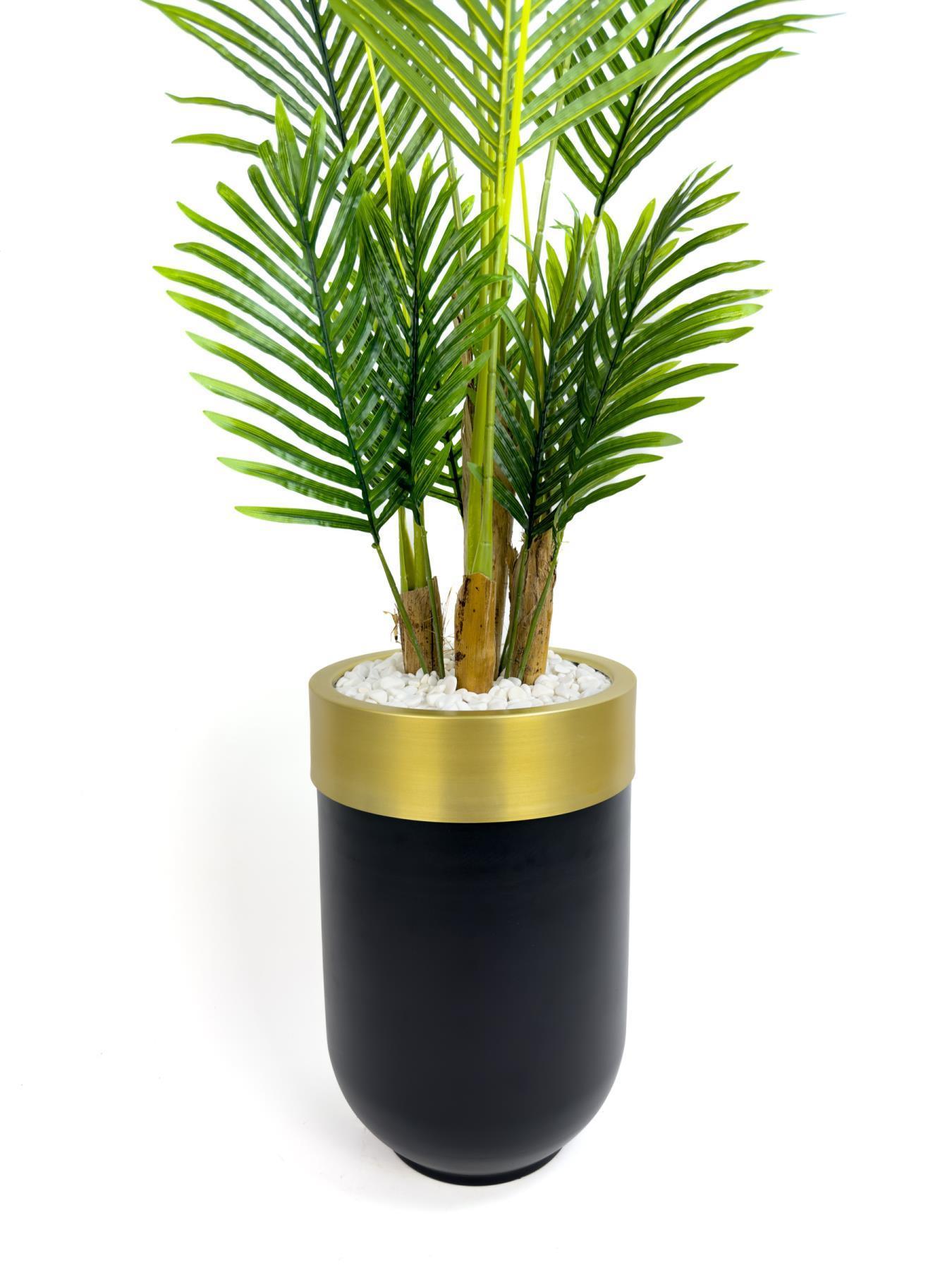 Areka Palmiyesi 160cm siyah gold metal darbuka saksıda