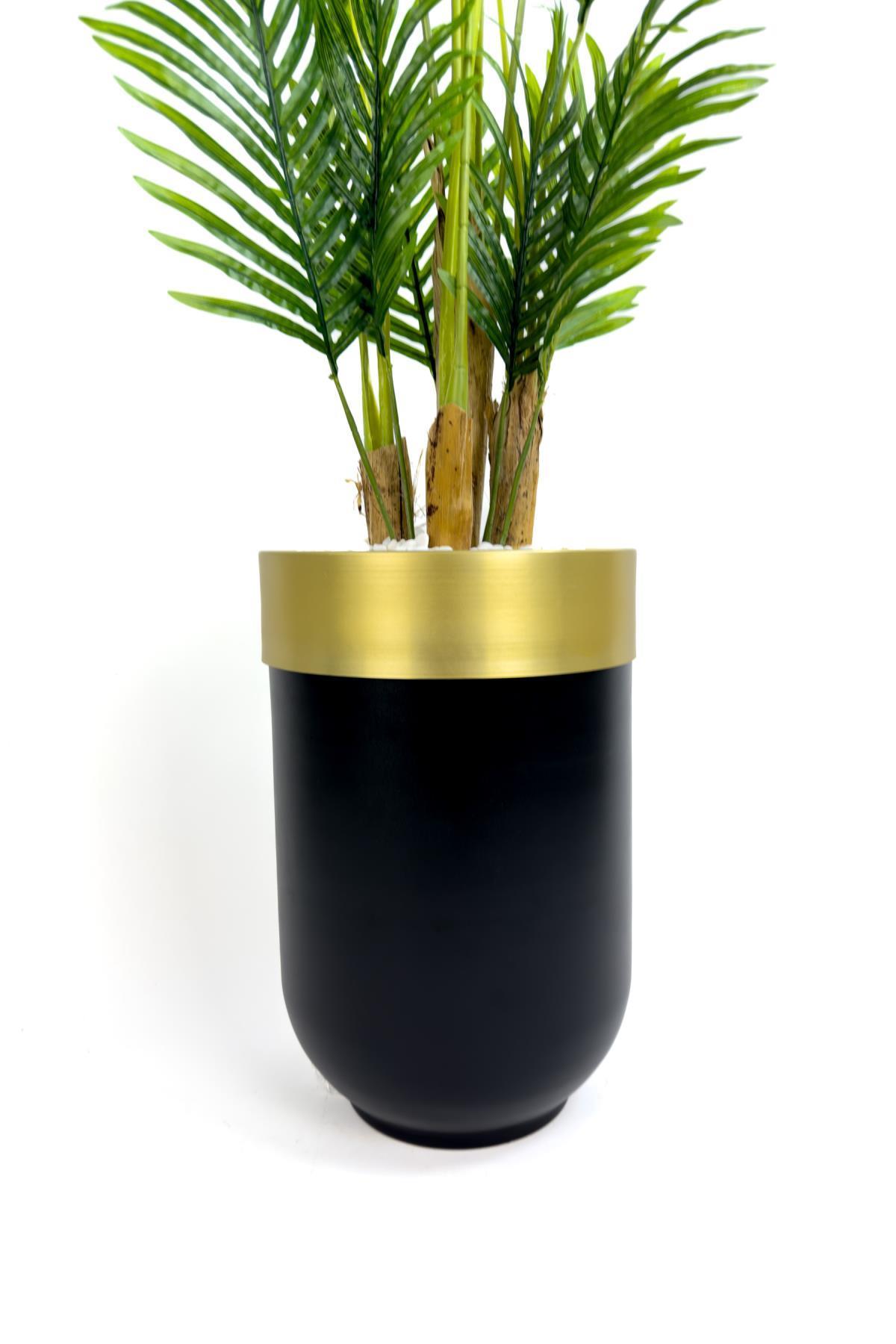 Areka Palmiyesi 160cm siyah gold metal darbuka saksıda