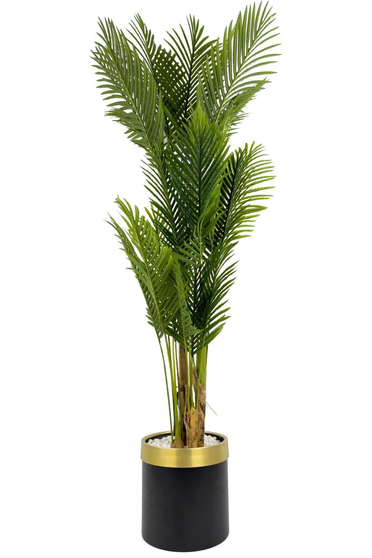 Areka Palmiyesi 220cm metal siyah gold saksıda