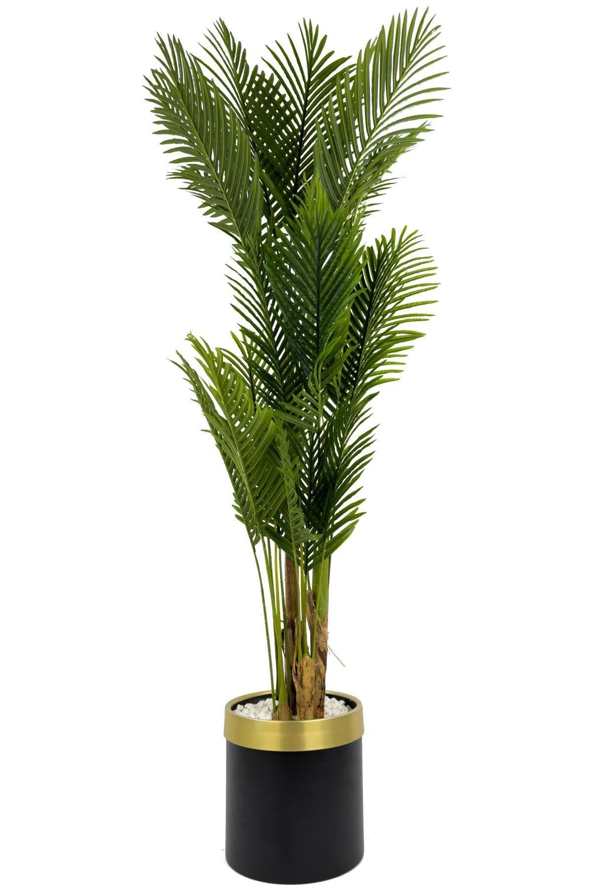 Areka Palmiyesi 220cm metal siyah gold saksıda
