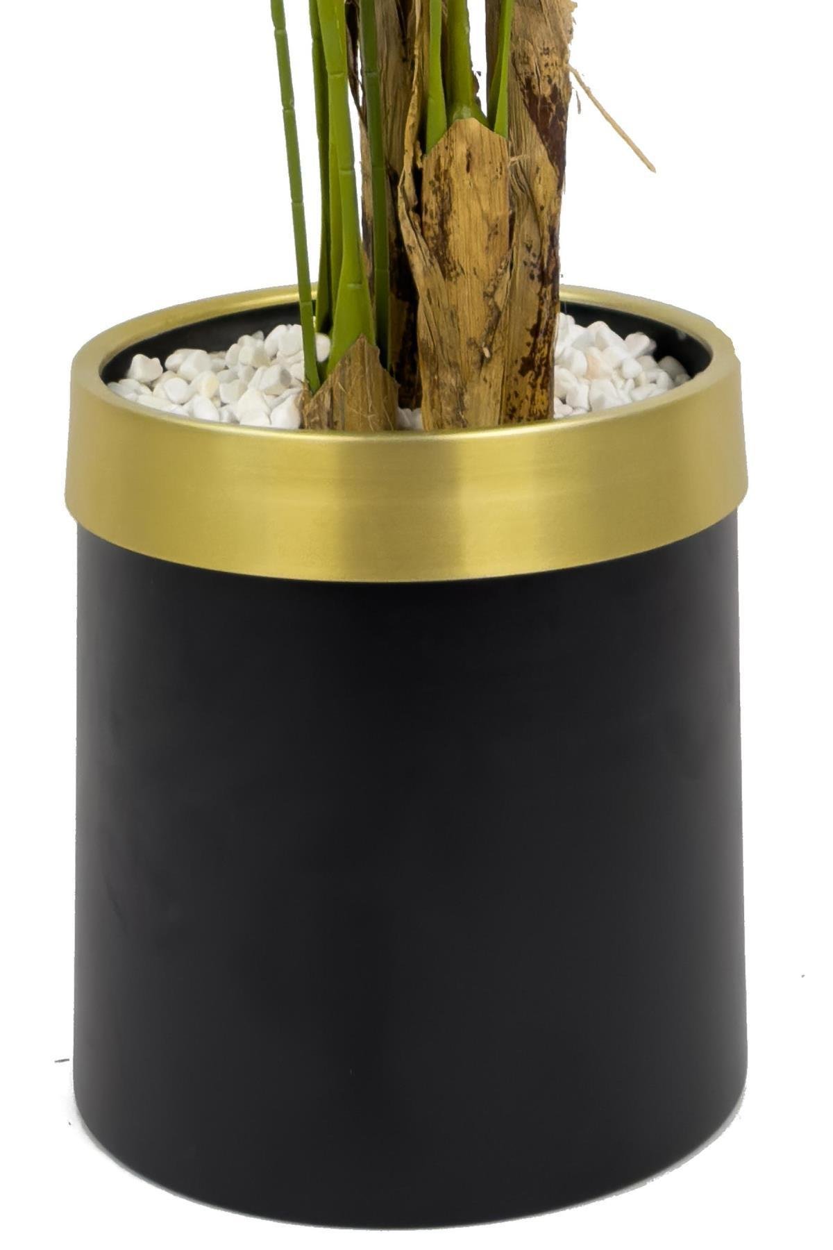 Areka Palmiyesi 220cm metal siyah gold saksıda
