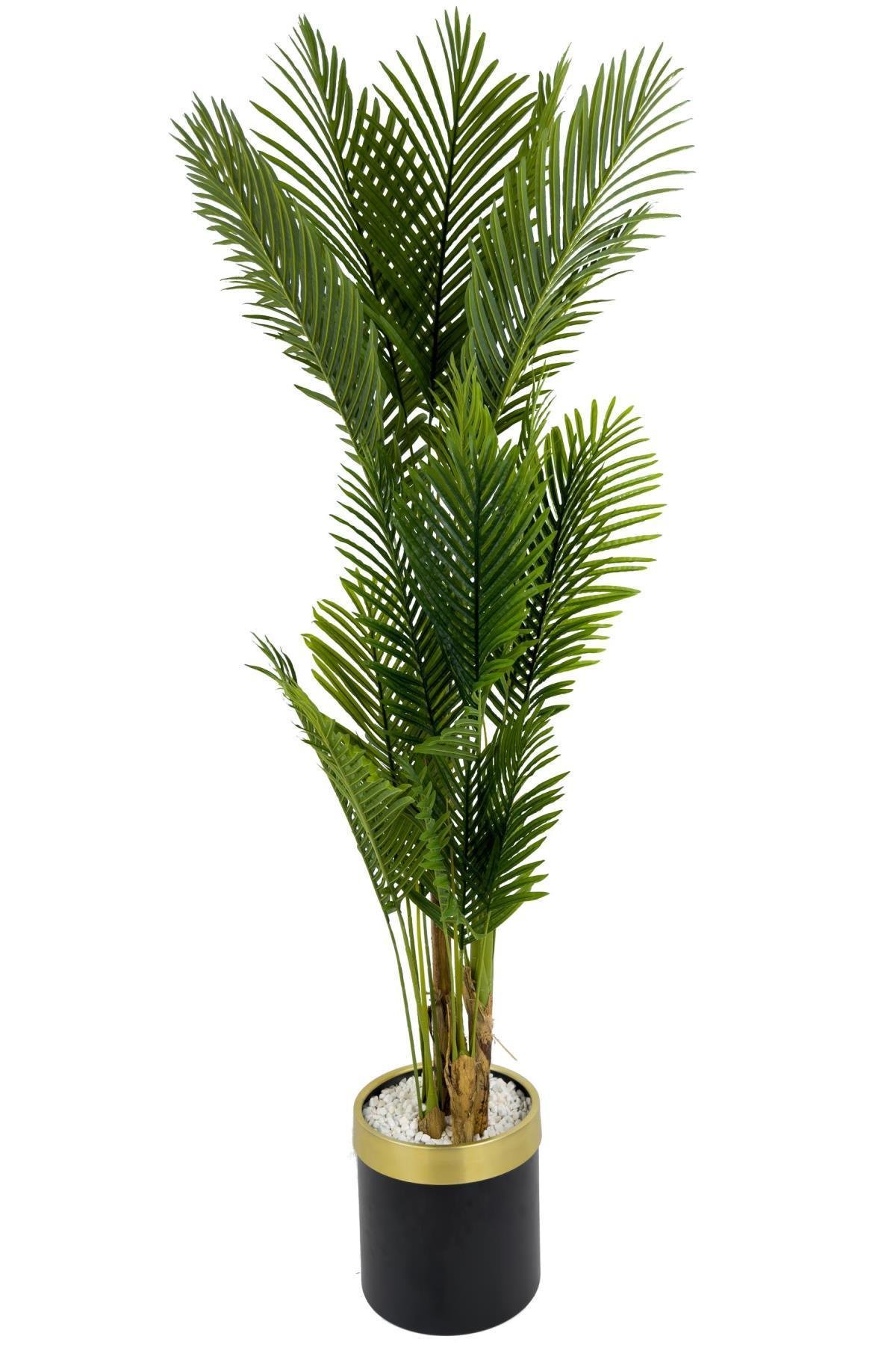 Areka Palmiyesi 220cm metal siyah gold saksıda