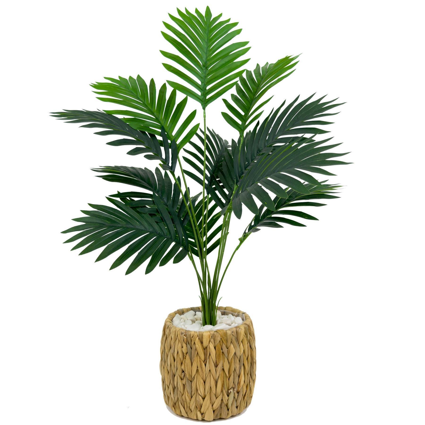 Areka Palmiyesi 70 cm Hasır saksıda