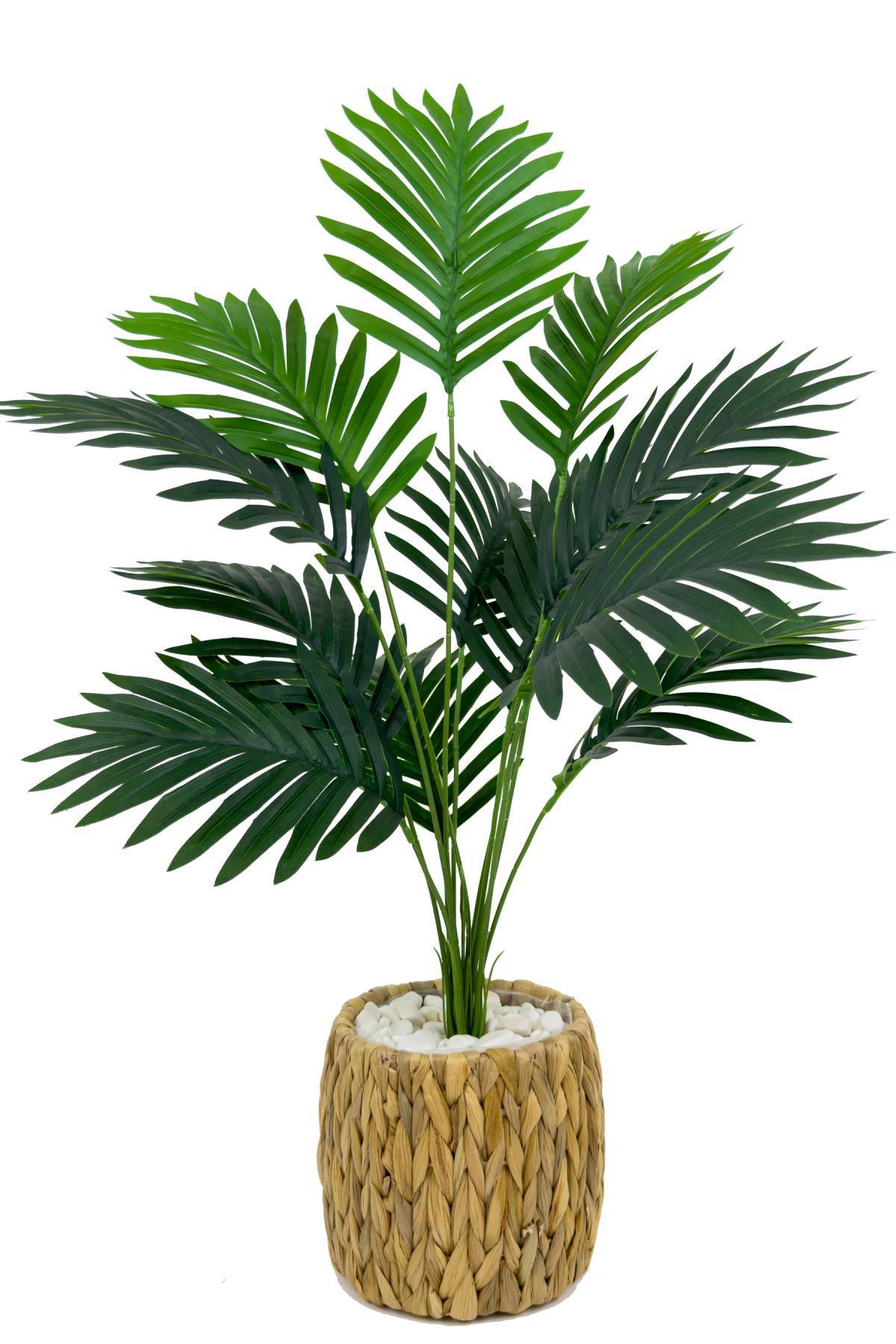 Areka Palmiyesi 70 cm Hasır saksıda