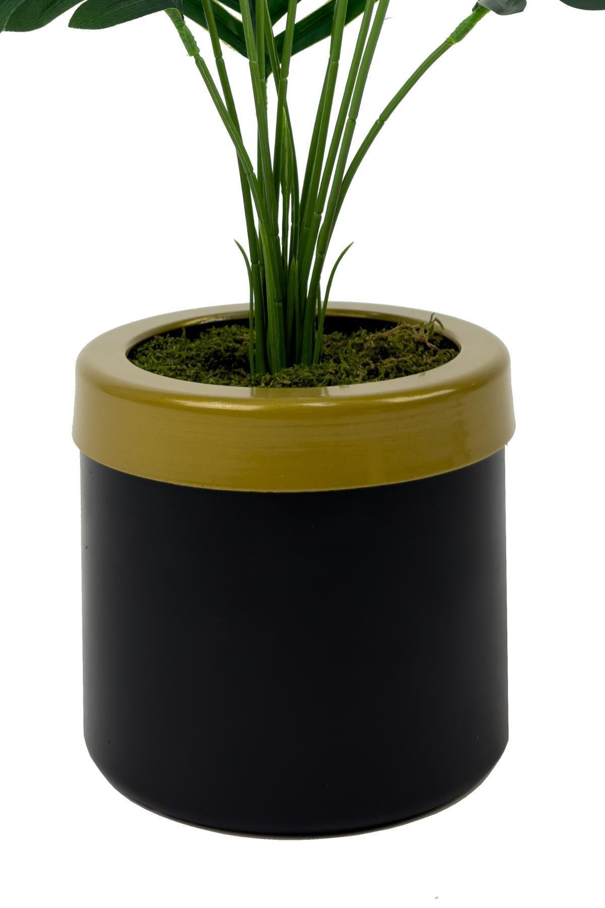 Areka Palmiyesi 75 cm siyah gold metal saksıda