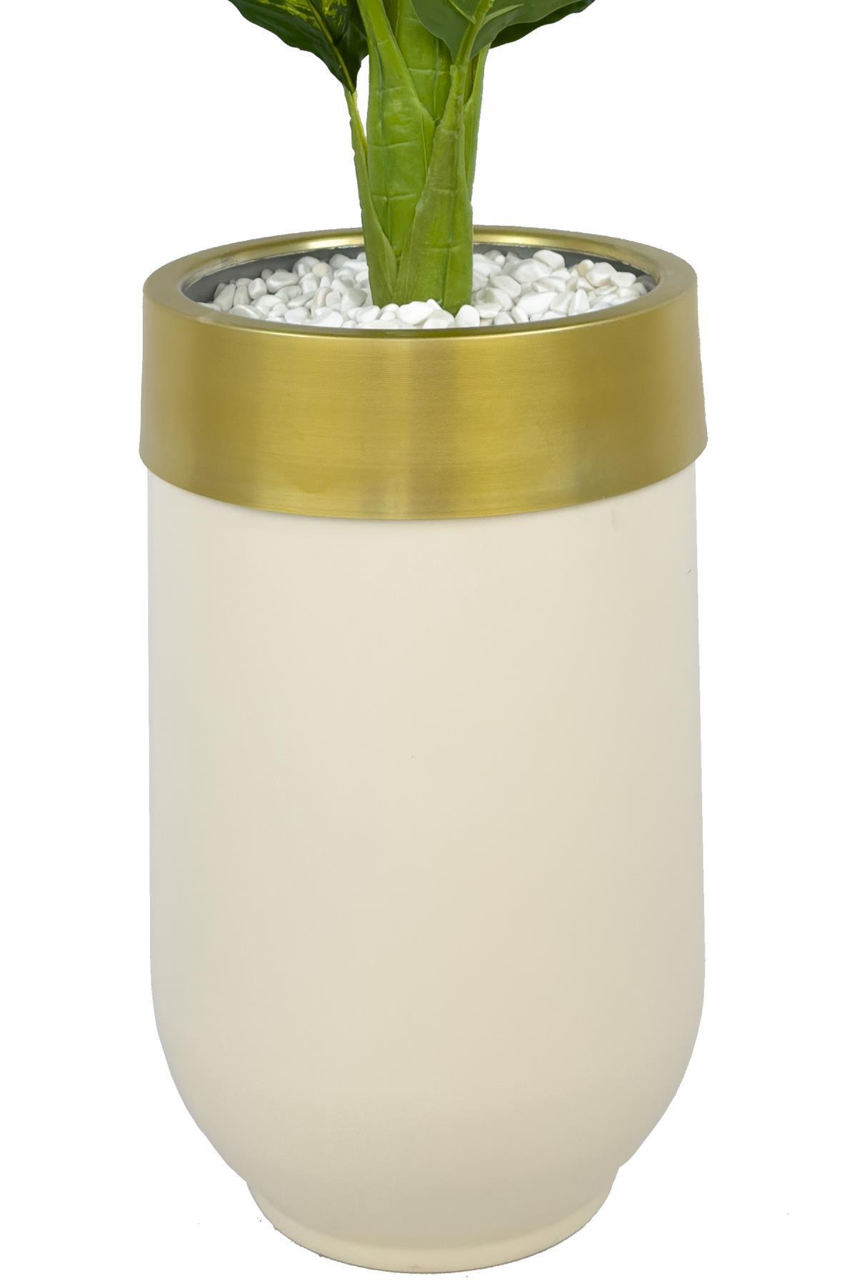 Difenbahya 170cm metal krem gold darbuka saksıda
