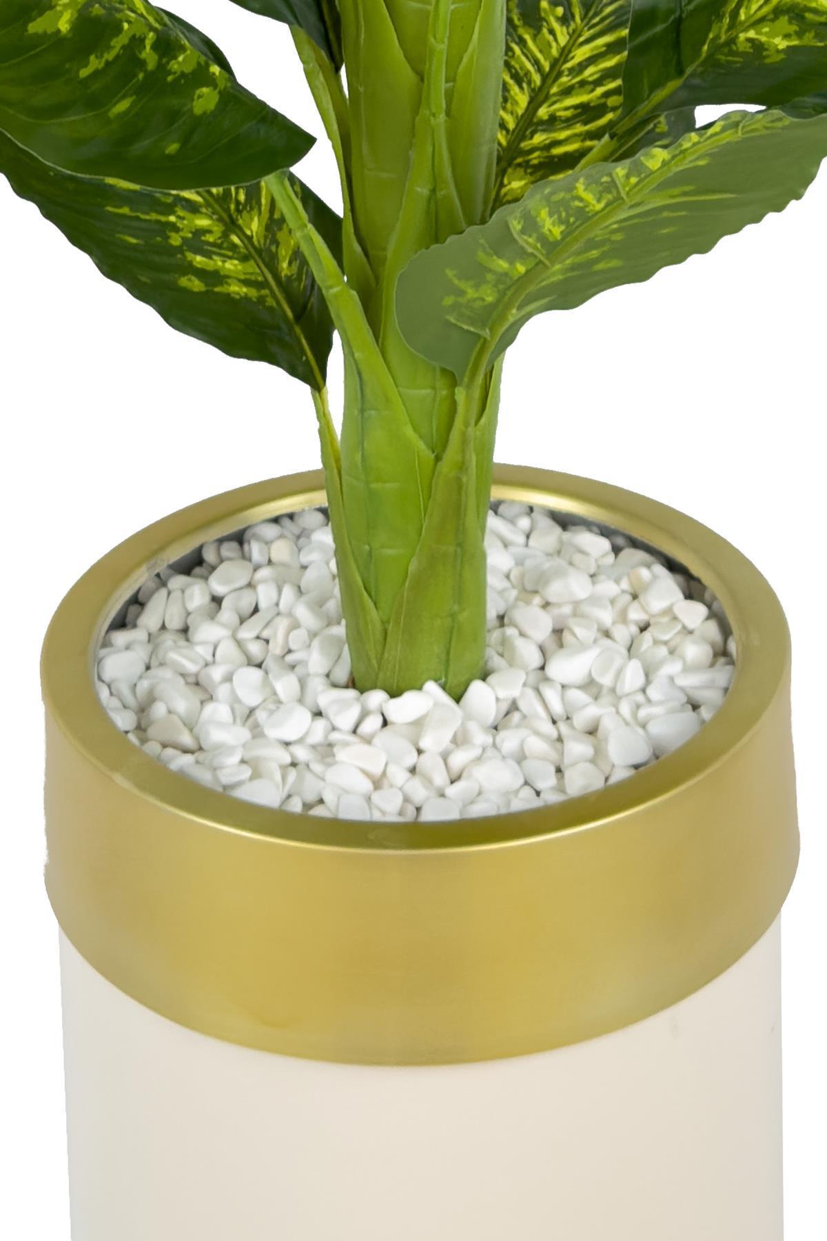 Difenbahya 170cm metal krem gold darbuka saksıda
