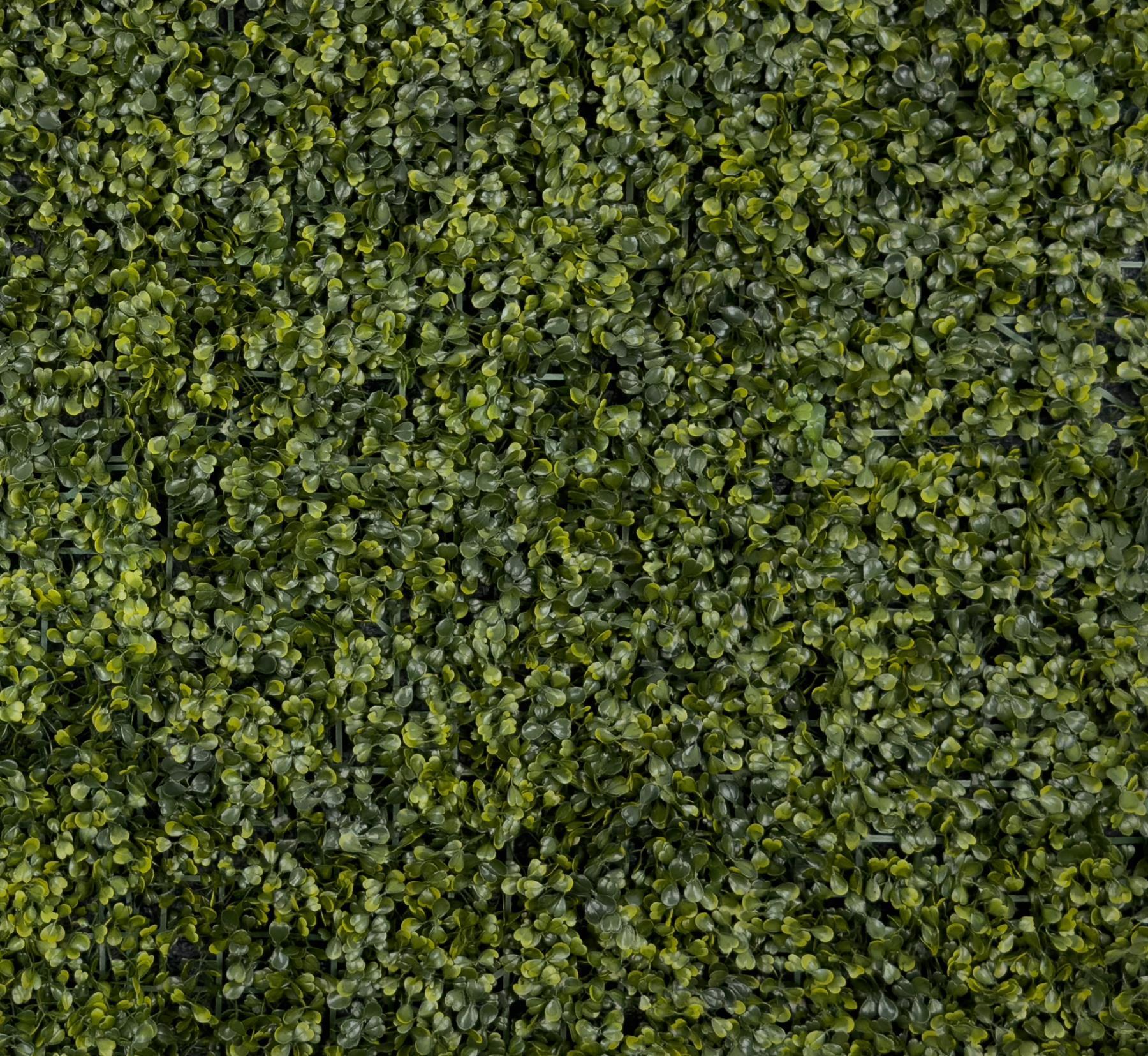 dikey bahçe duvar paneli 120x80cm model1