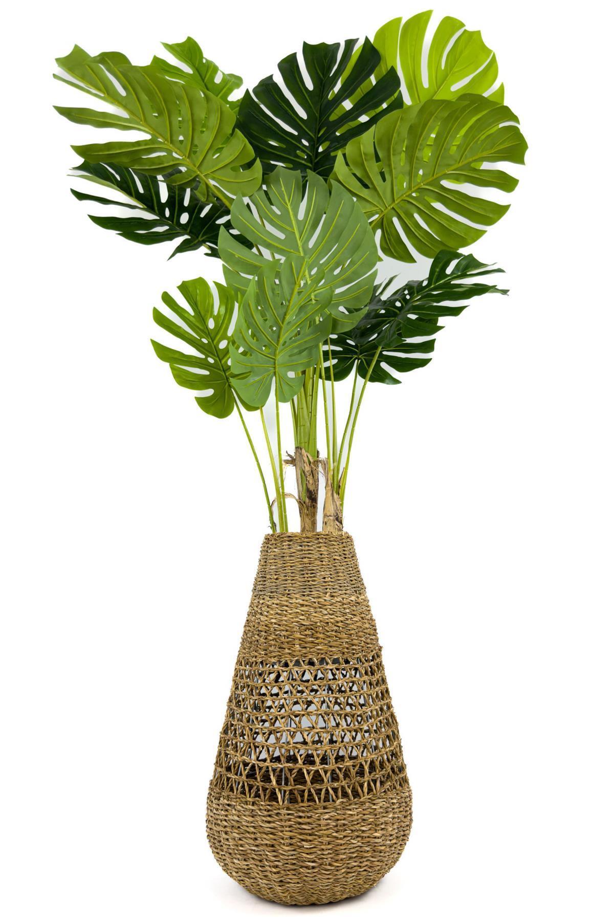 Luxury Monstera Ağacı 180cm Hasır saksıda bohem4