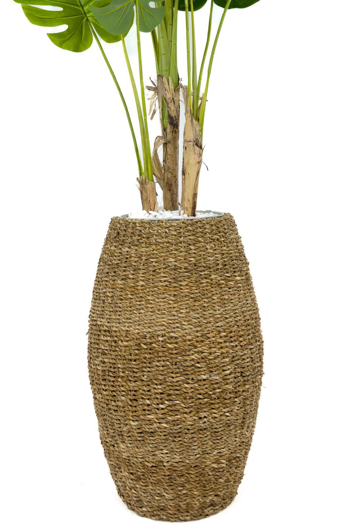 Luxury Monstera Ağacı 180cm Hasır saksıda bohem5