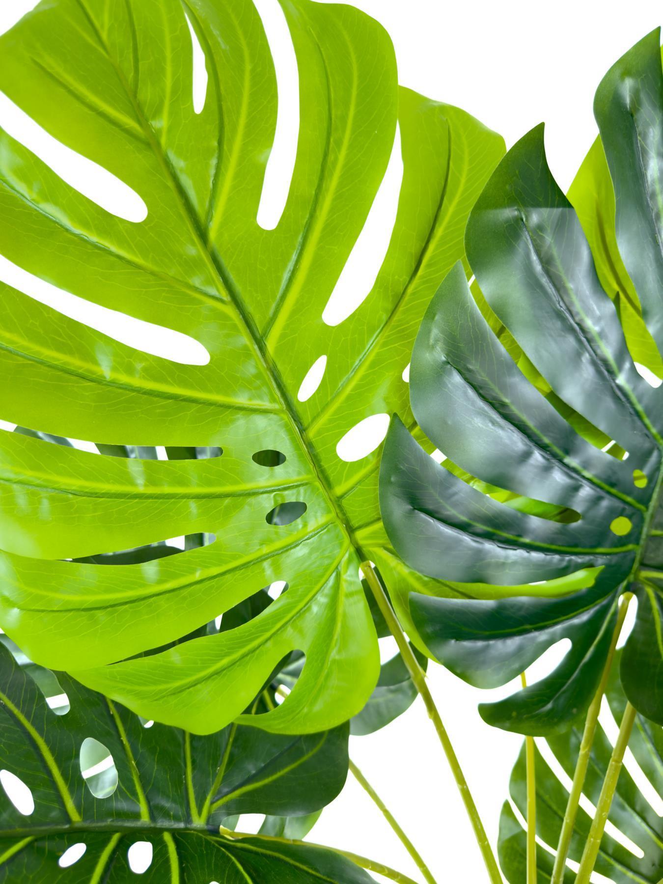 Luxury Monstera Bitkisi 180cm Hasır saksıda bohem3