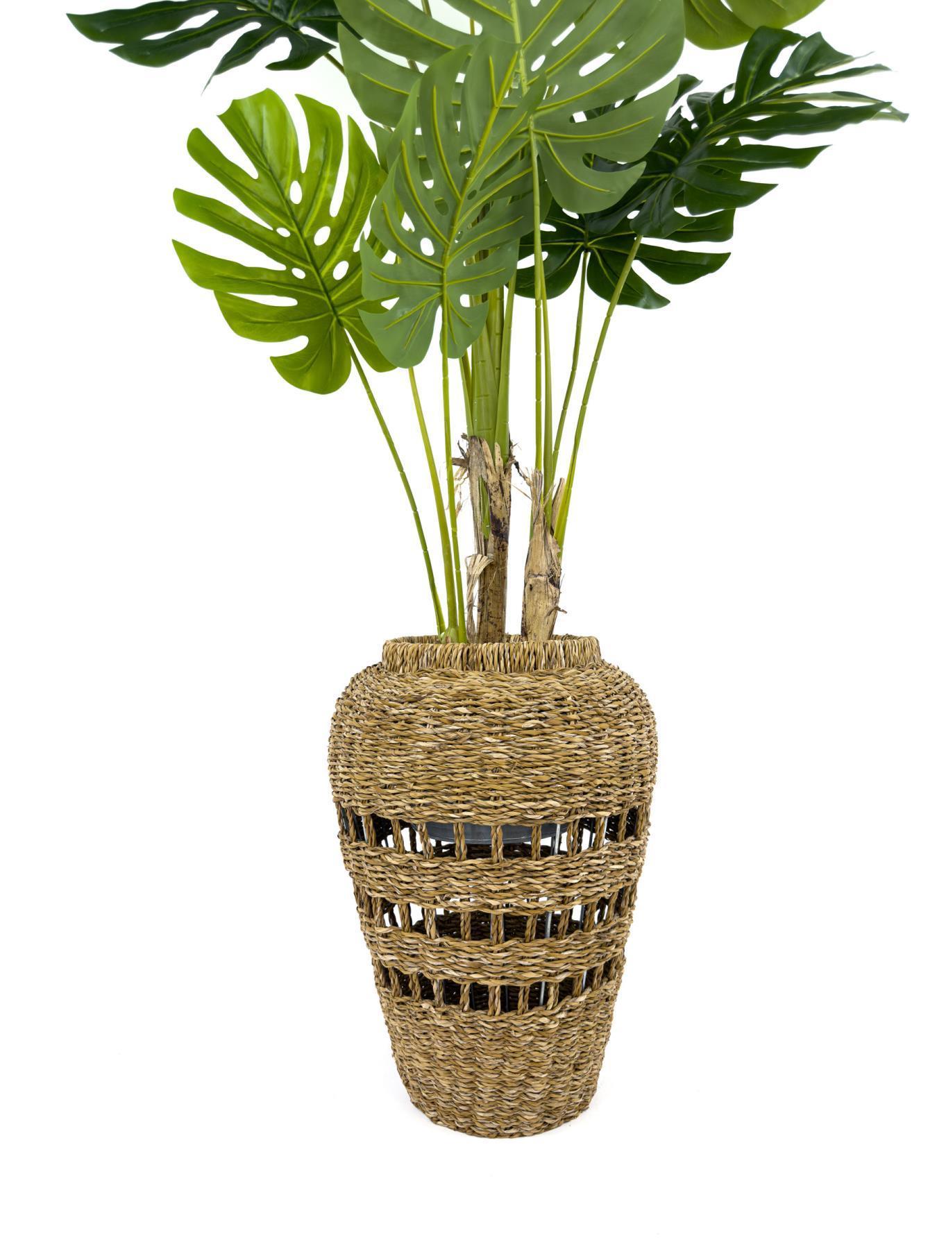 Luxury Monstera Bitkisi 180cm Hasır saksıda bohem3