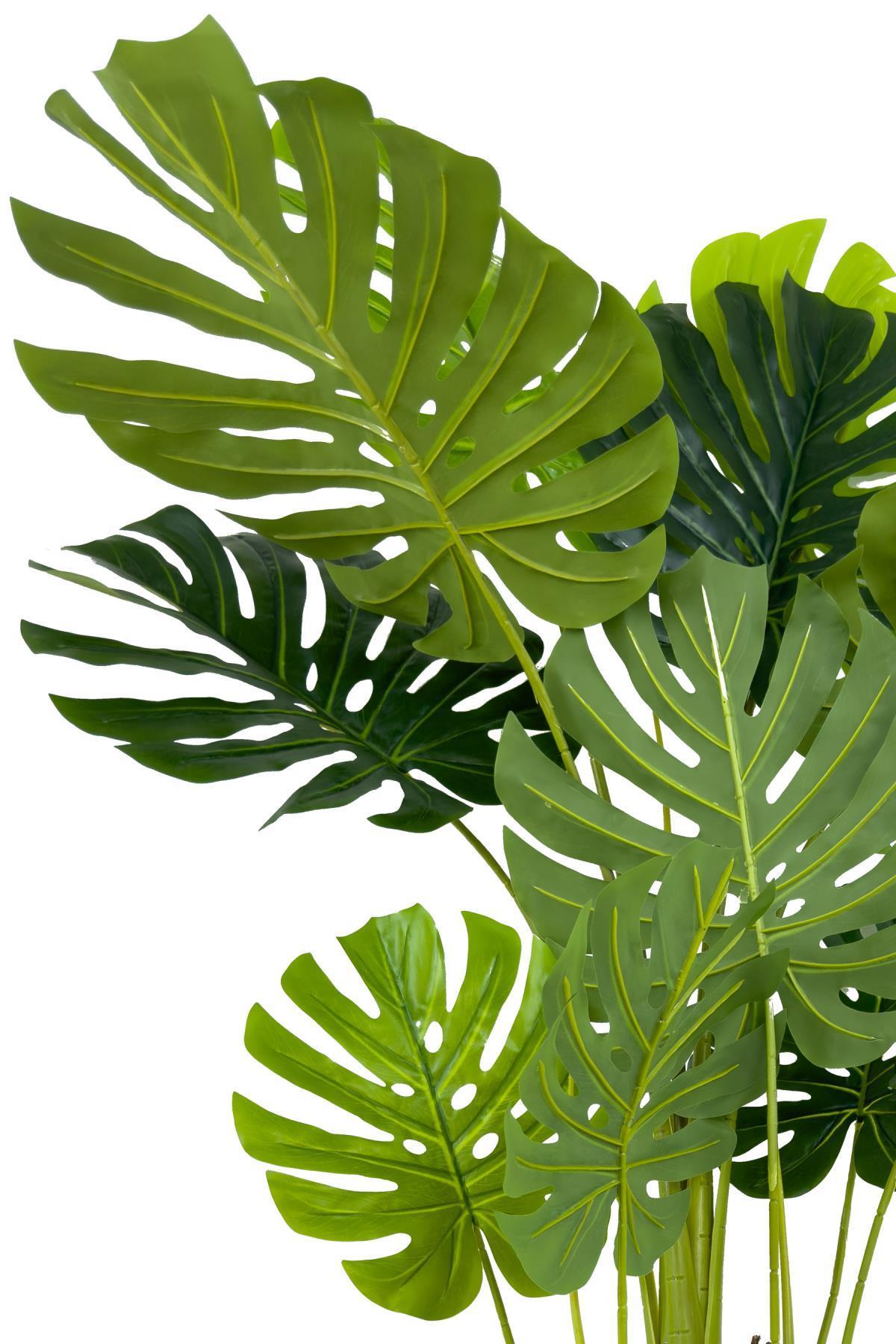 Monstera Ağacı 150cm fejka hasır saksıda