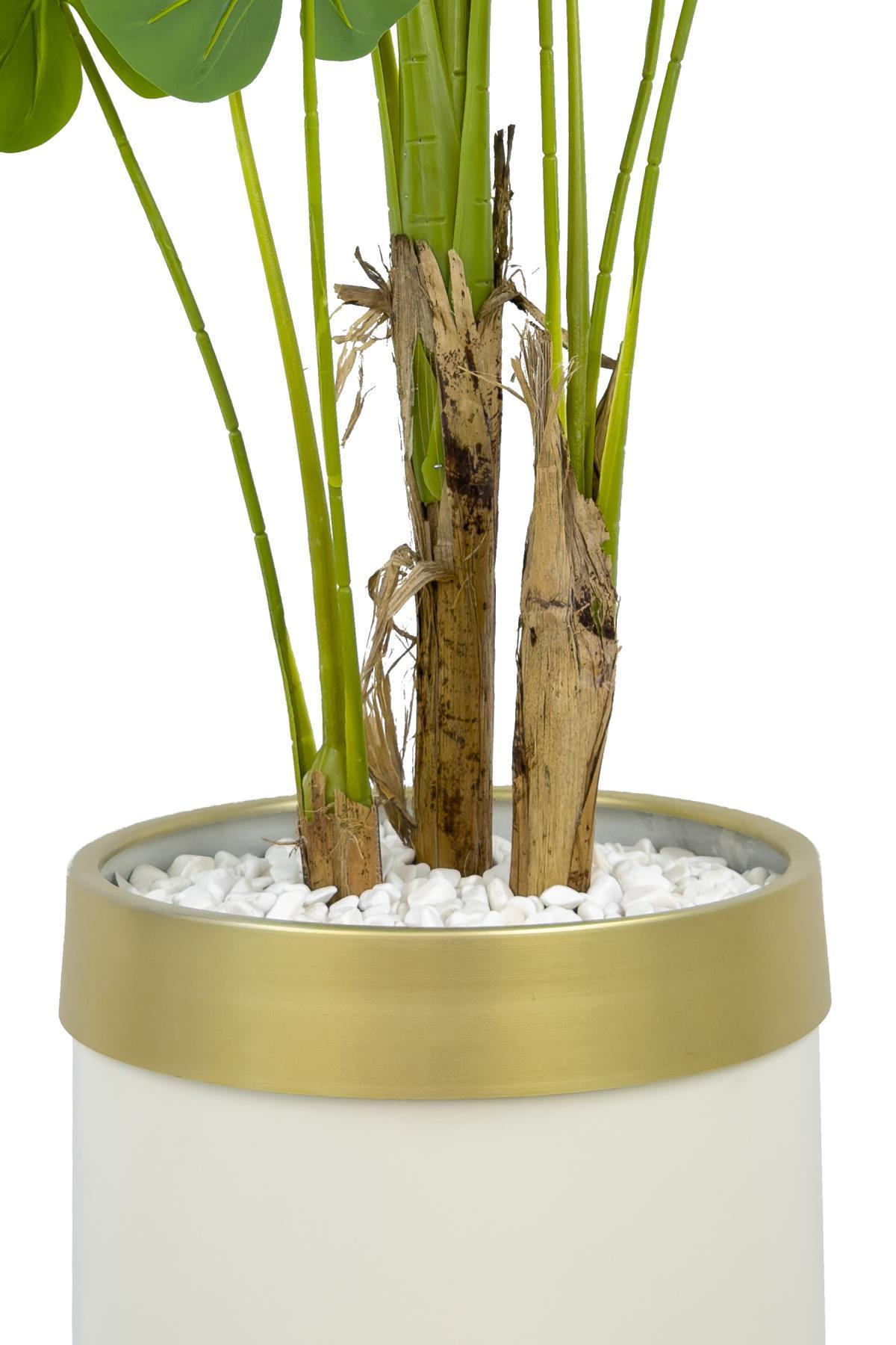 Monstera Ağacı 160cm krem gold metal saksıda