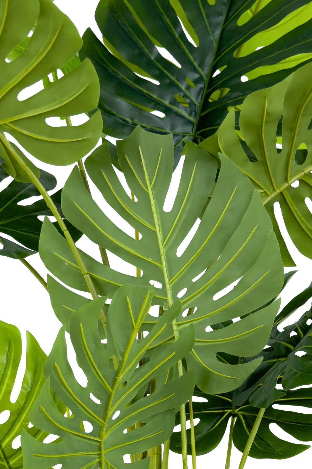 Monstera Ağacı 160cm krem gold metal saksıda