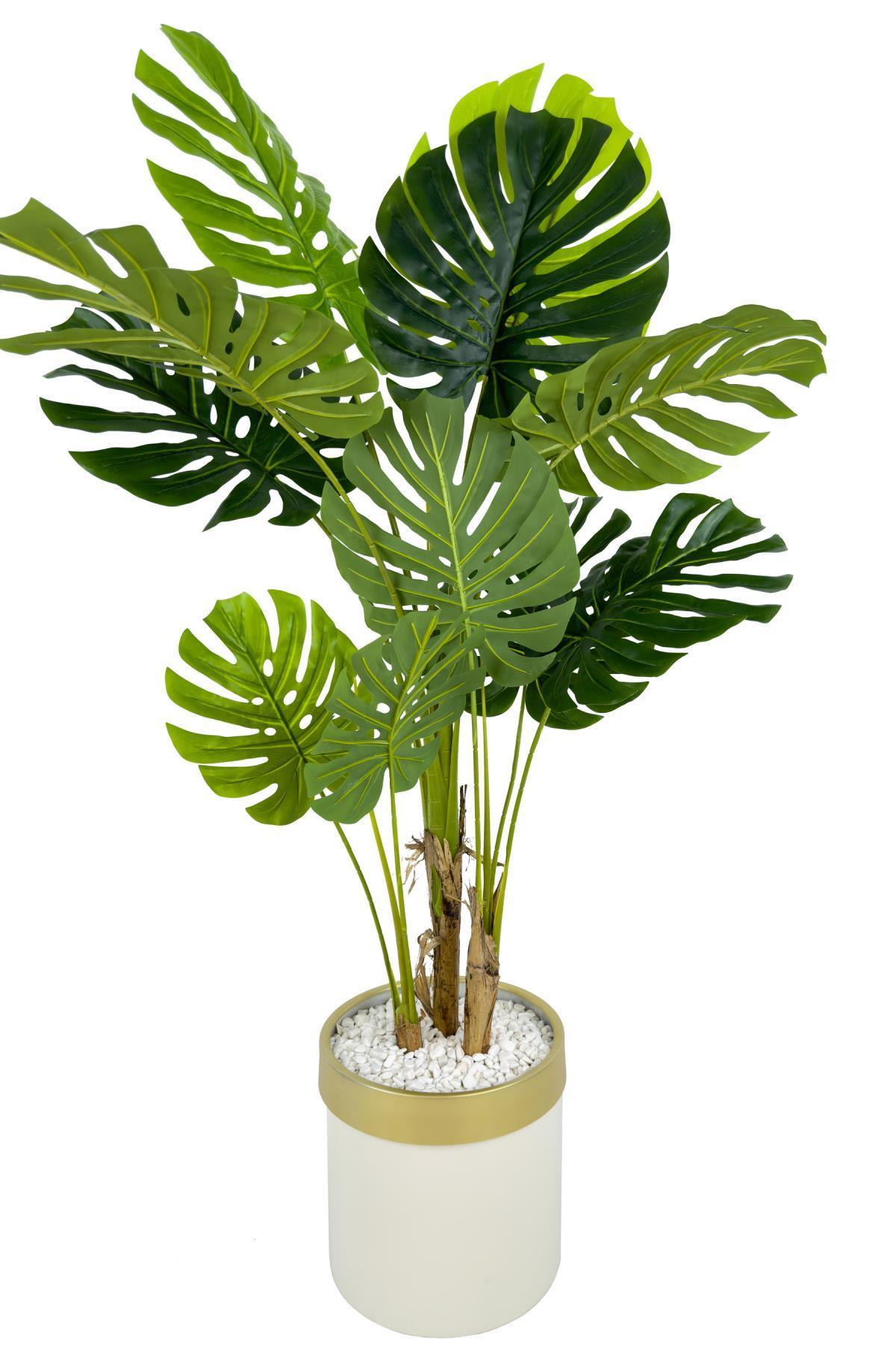 Monstera Ağacı 160cm krem gold metal saksıda