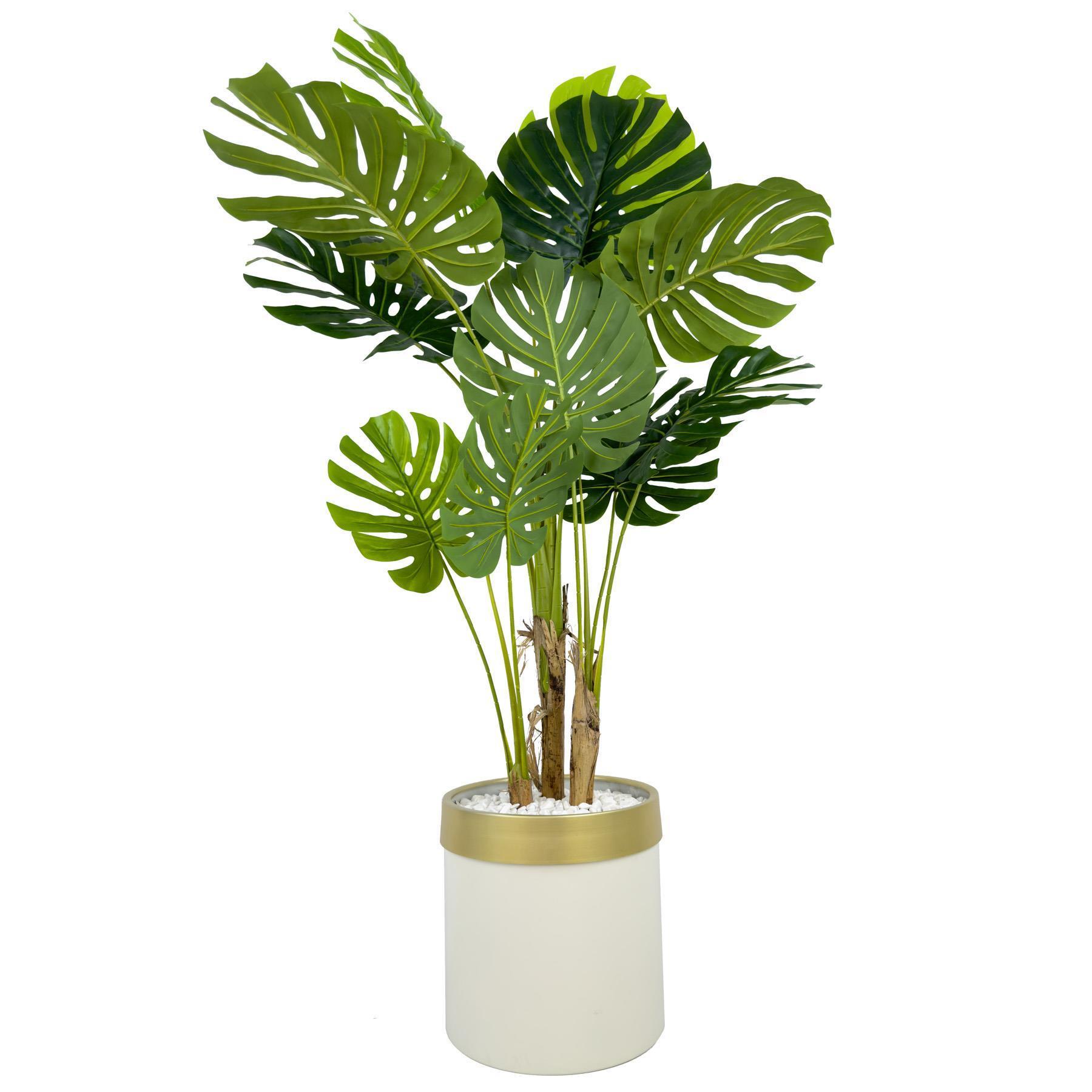 Monstera Ağacı 160cm krem gold metal saksıda
