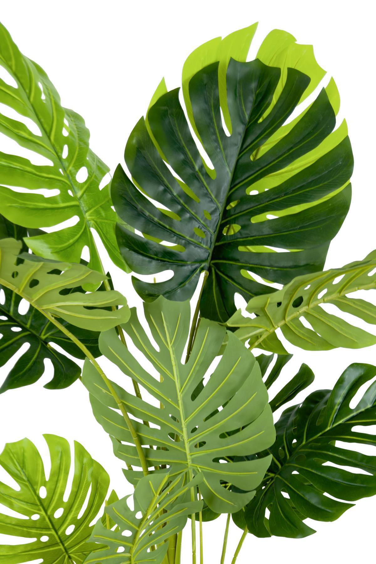 Monstera Ağacı 160cm krem gold metal saksıda