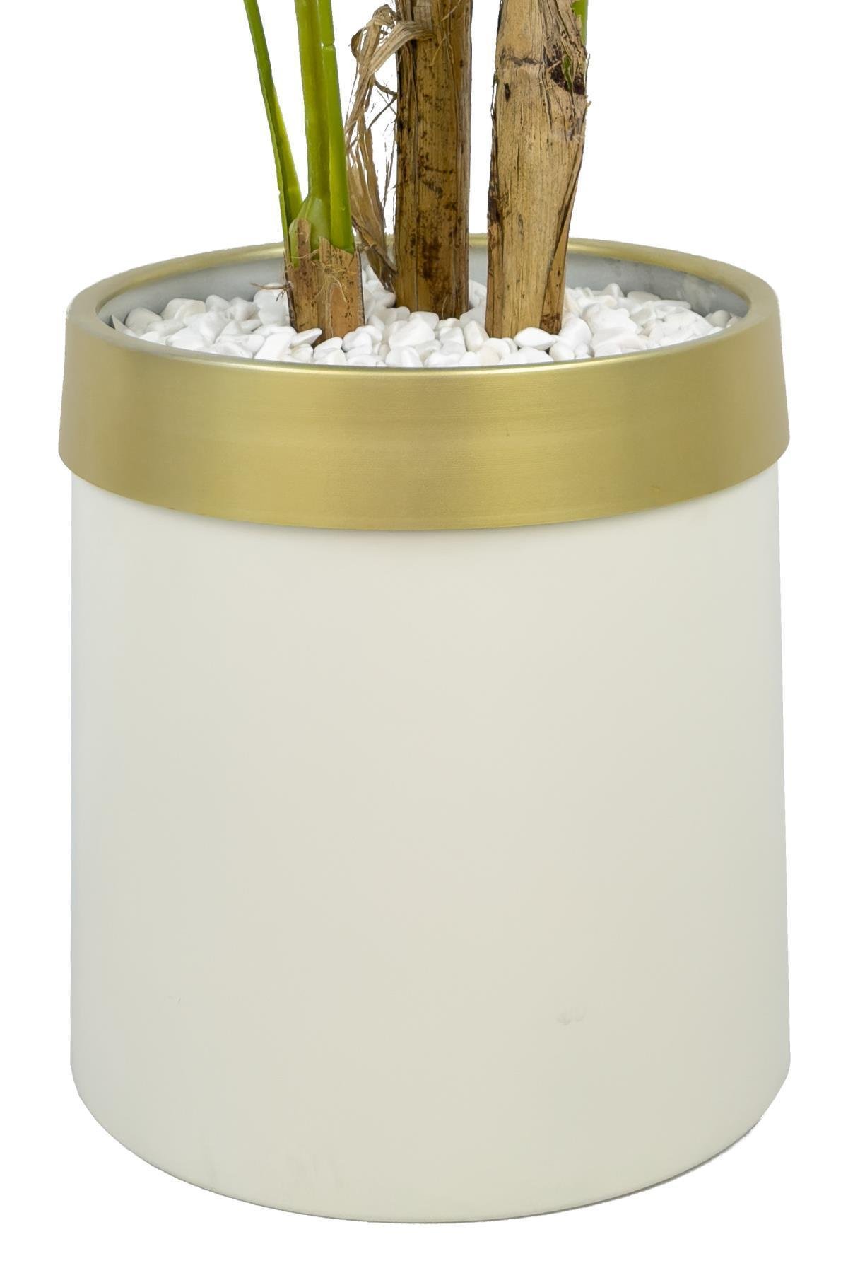 Monstera Ağacı 160cm krem gold metal saksıda