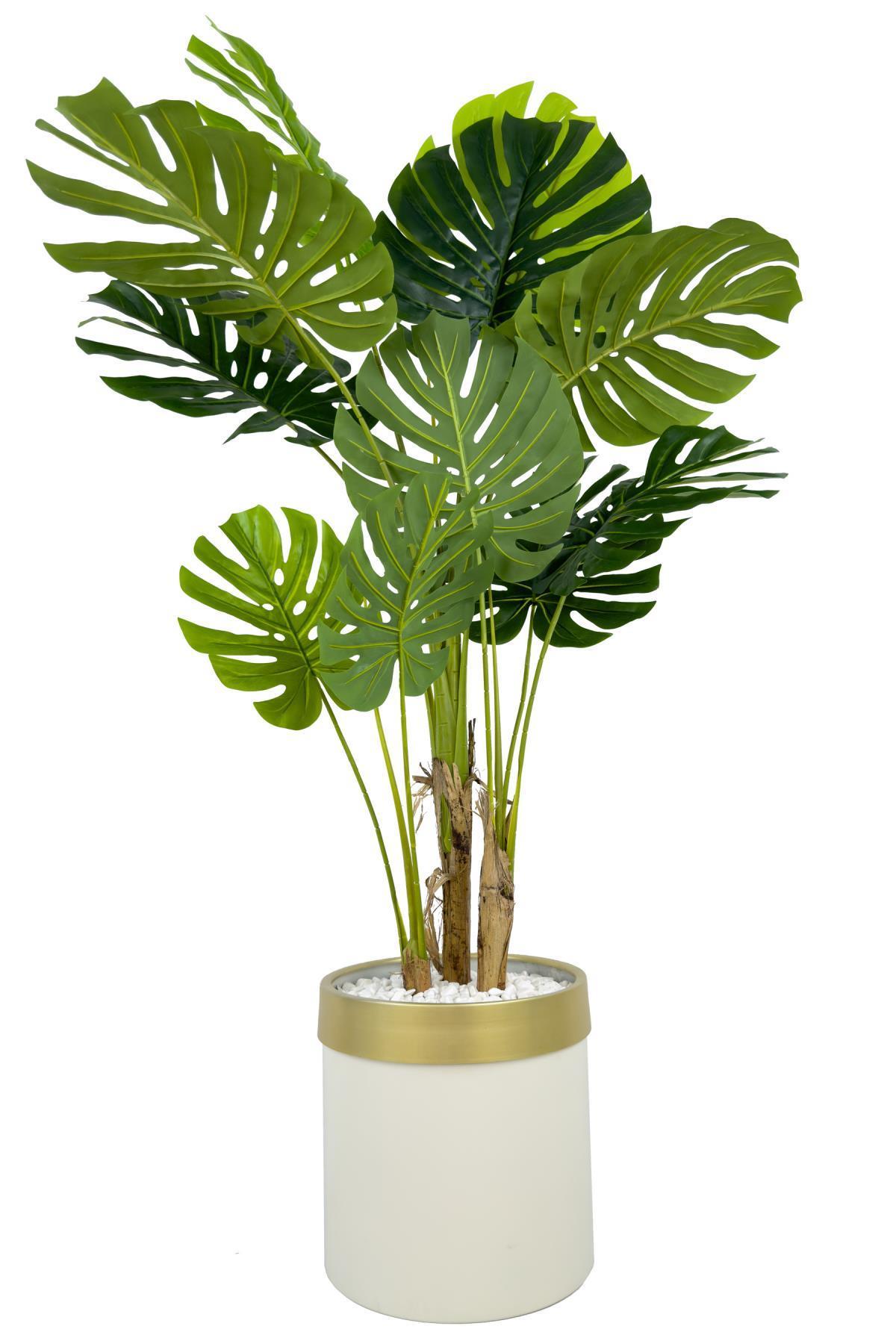 Monstera Ağacı 160cm krem gold metal saksıda