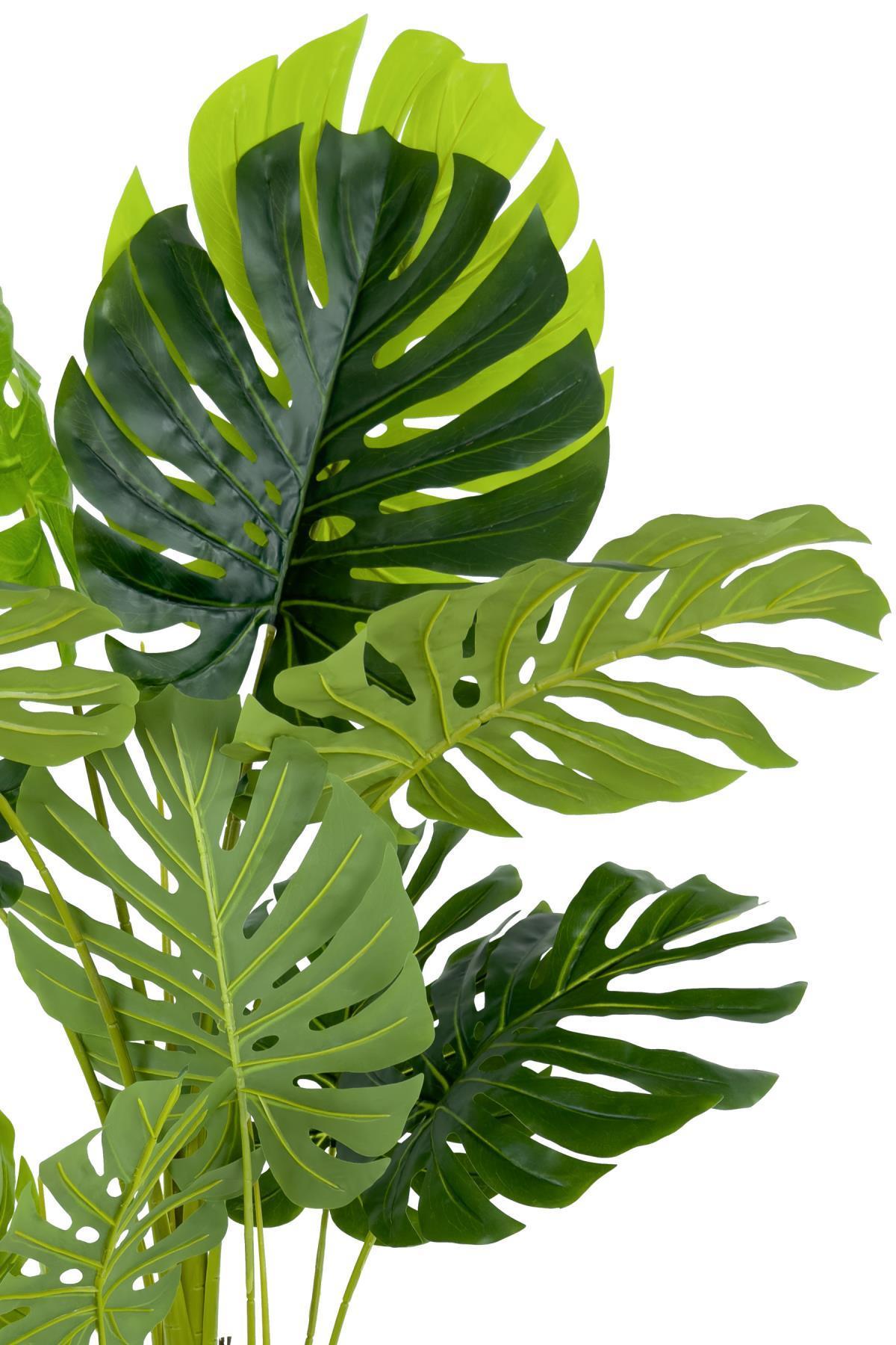 Monstera Ağacı 160cm krem gümüş metal saksıda